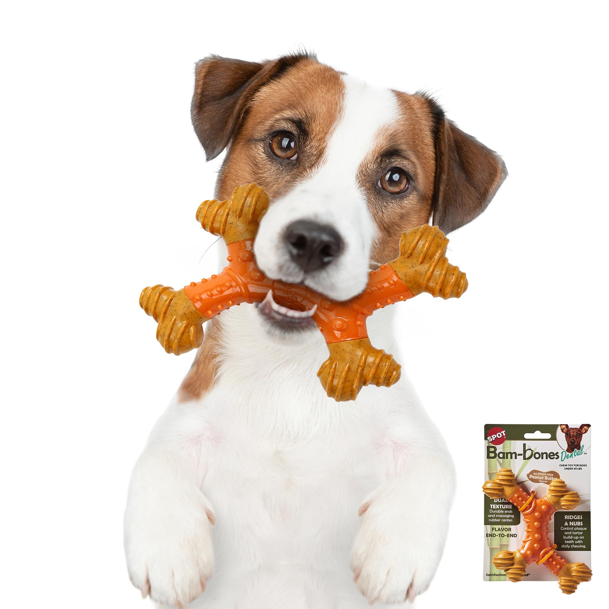 Spot Bam-Bones Dental X-Bone - Made With Bamboo Fiber And A Massaging Rubber Center, Durable Oral Care Dog Chew For Light Chewer