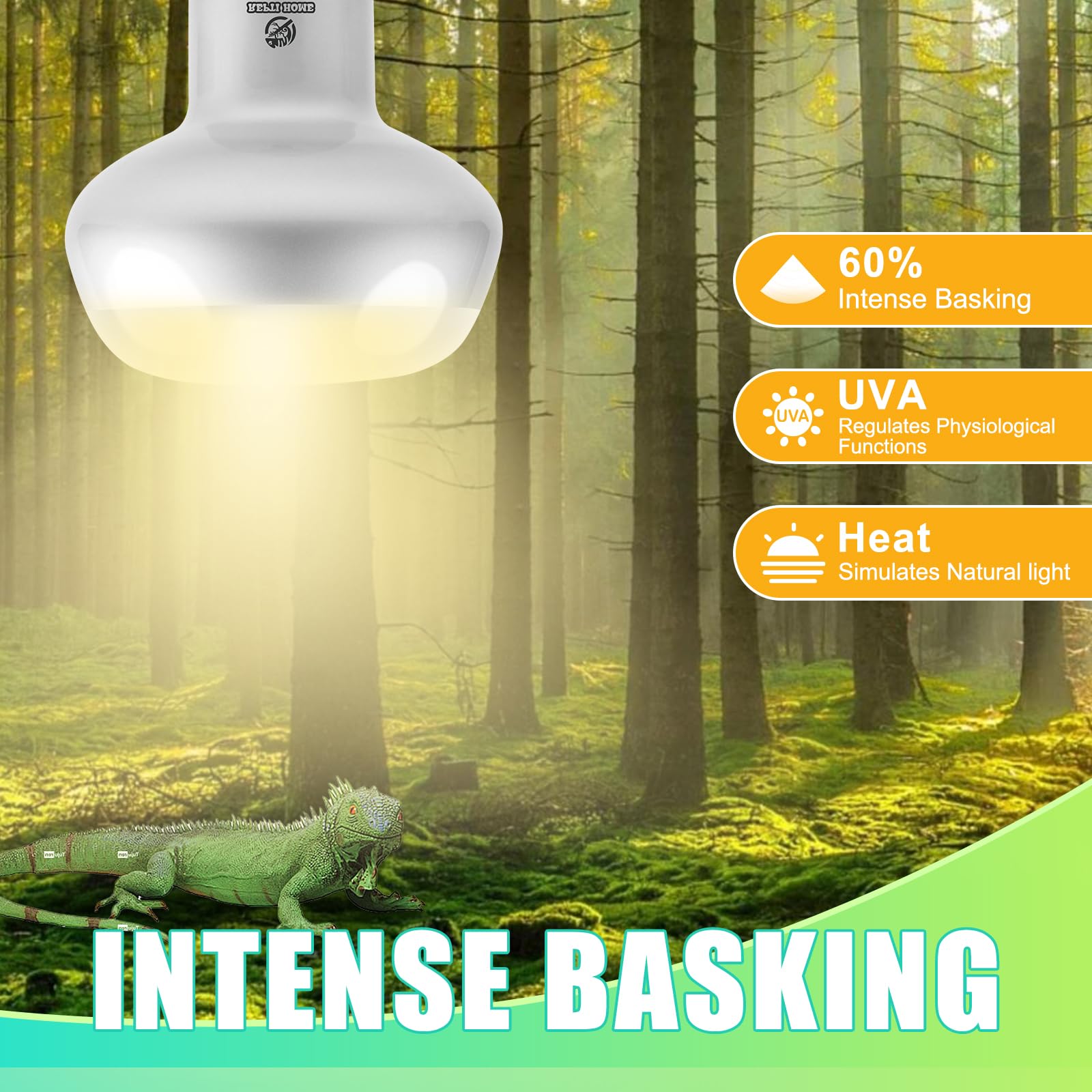 REPTI HOME Intense Reptile Heat Lamp Bulbs - 100W 4 Pack, Reptiles & Amphibians UVA Basking Spot Lamp Bulb,Simulate Natural Sunl