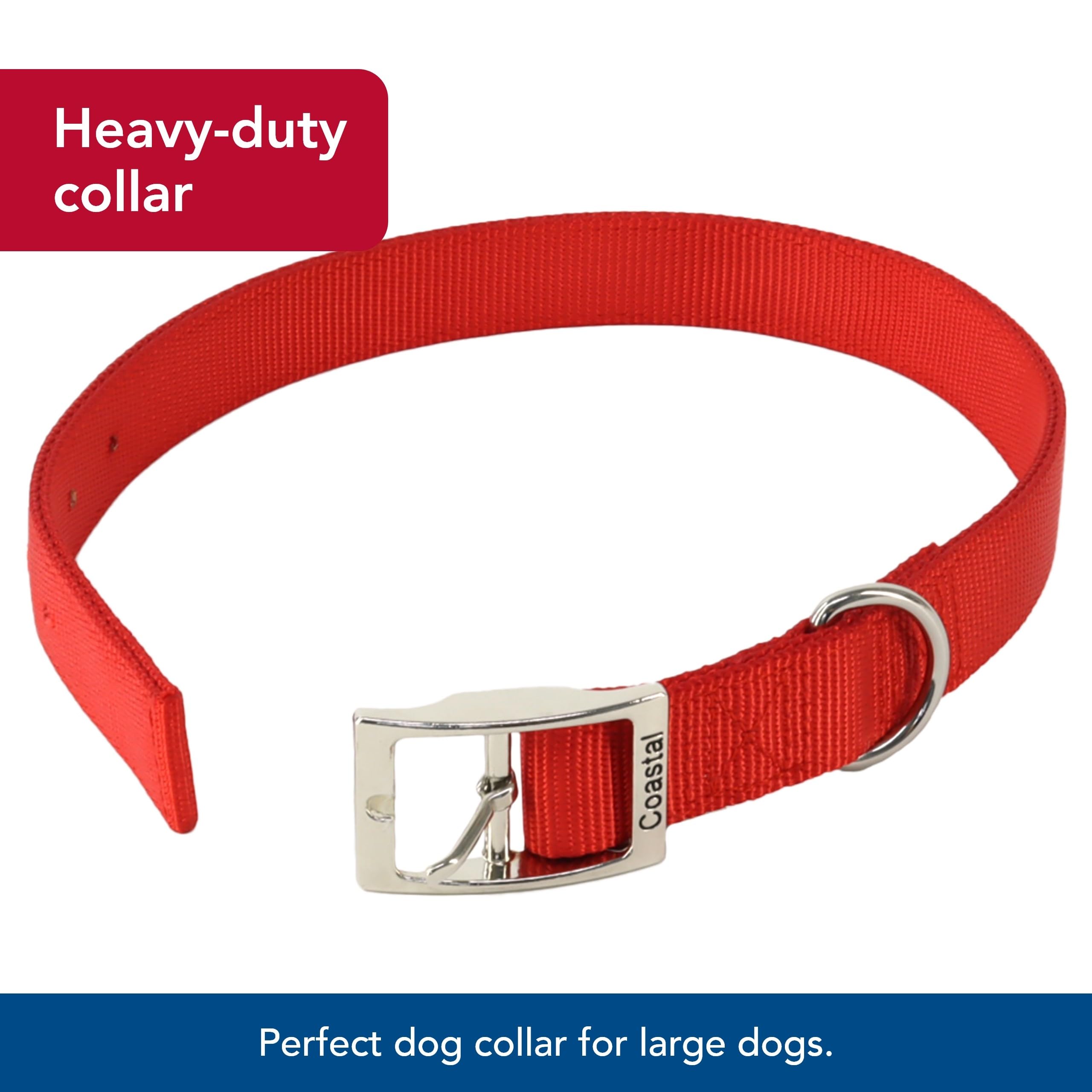 Coastal Pet - Double-Ply Dog Collar, Blue, 1'' x 22''