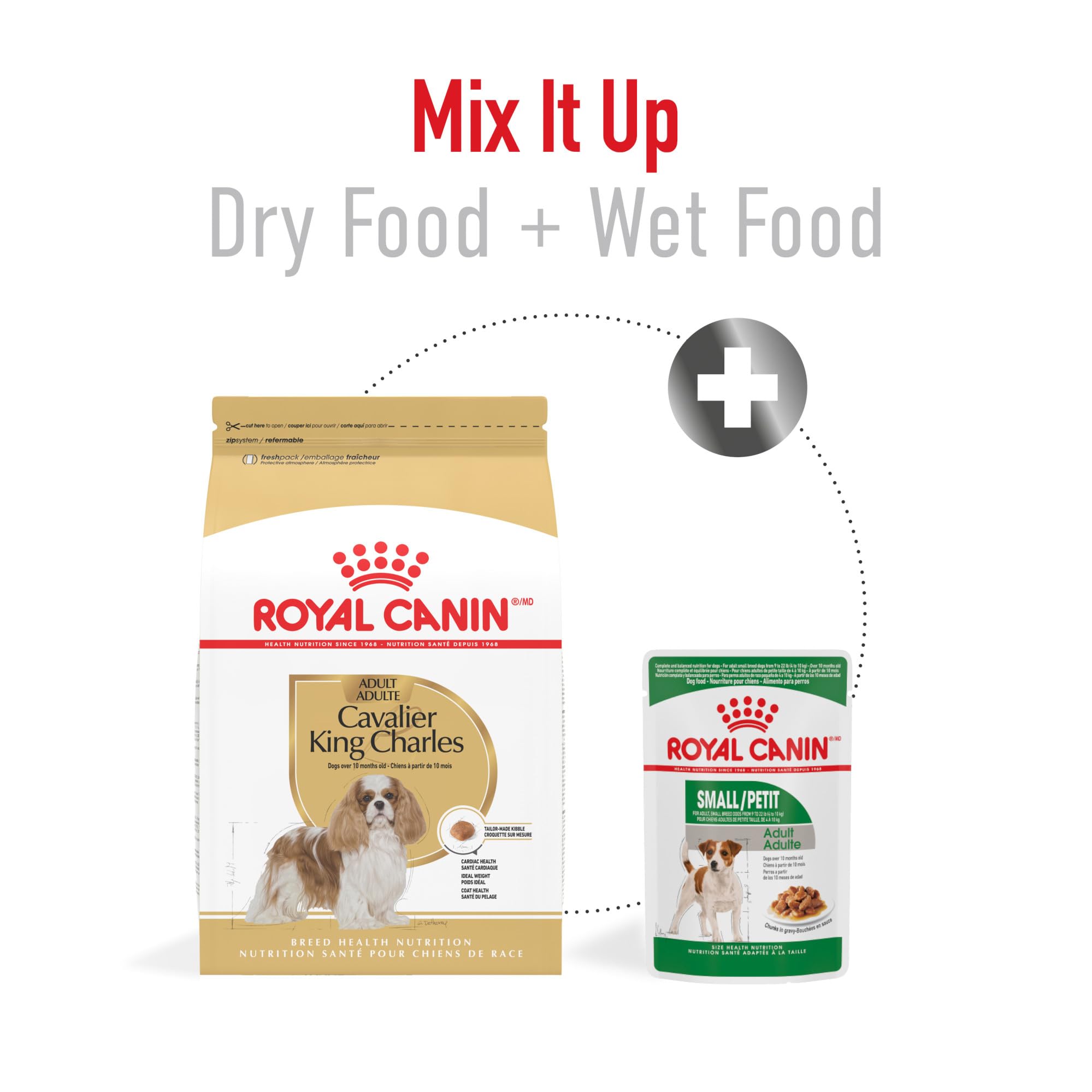 Royal Canin Cavalier King Charles Spaniel Adult Breed Specific Dry Dog Food, 10 lb bag