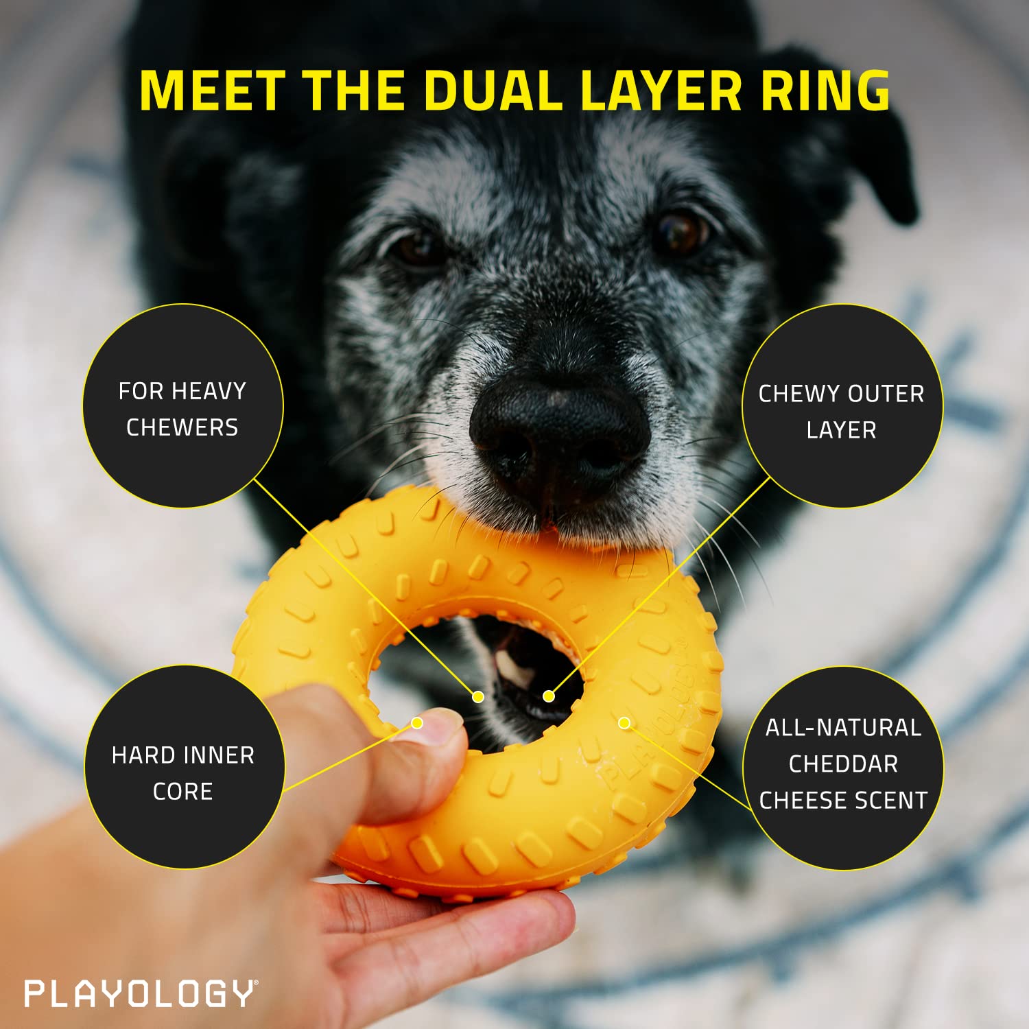Playology Large Dual Layer Ring Toy for Aggressive Chewers - Cheddar Cheese Scented, Durable & Non-Toxic Dog Chew - Easy to Clean, Orange