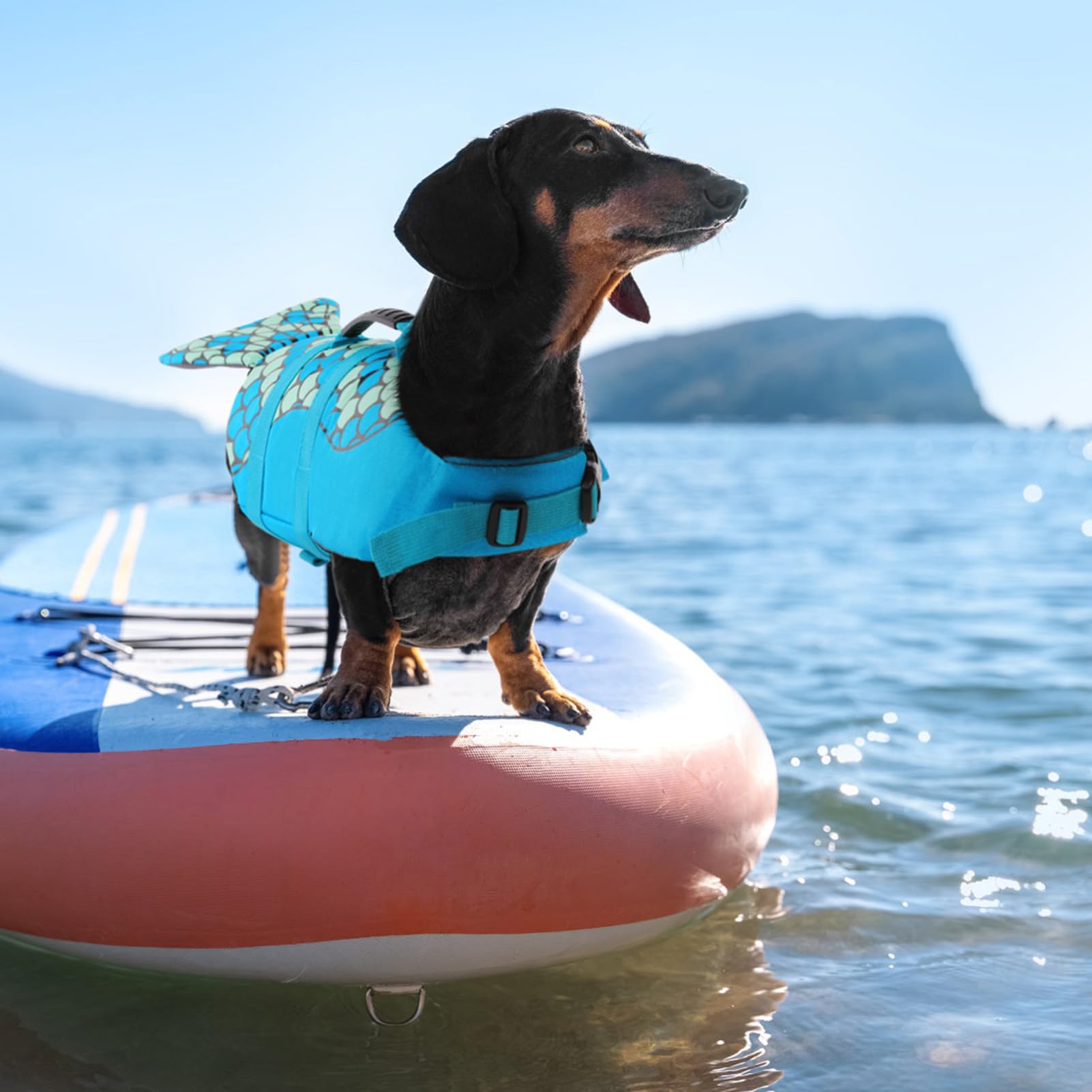 Queenmore Mermaid Dog Life Jacket, Dog Life Vest For Swimming, Dog Floating Vest, Lightweight Dog Swimming Vest, High Buoyant Do