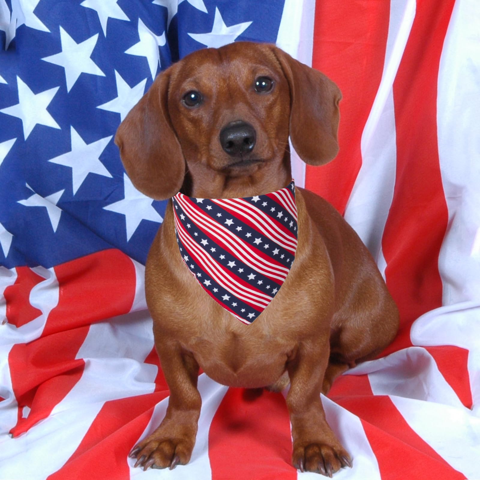 Ptdecor American Us Flag Dog Bandana 4Th Of July Dog Bandanas Reversible Triangle Bibs Scarf For Small Dogs (Style 1, Small)
