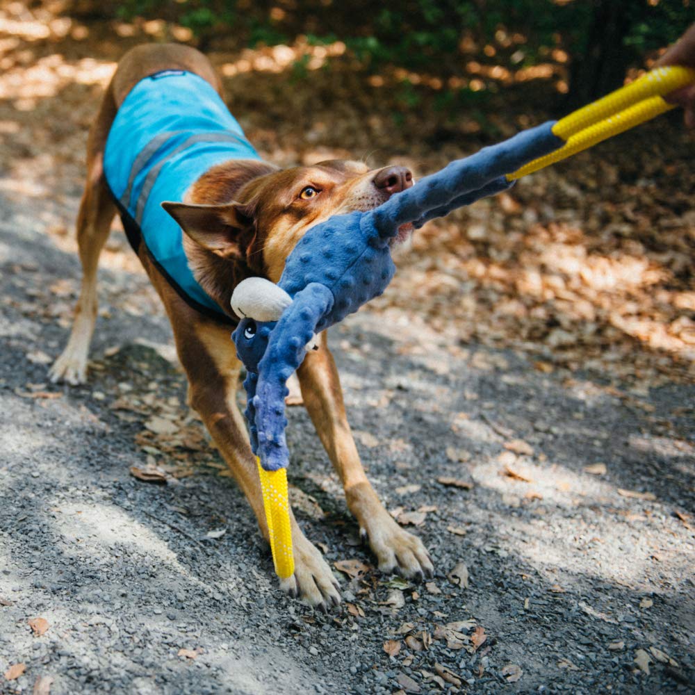 Zippypaws - Ropetugz Blue Monkey Dog Toy - Durable Rope, Squeaky Chew Toy, Perfect For Tug Of War, Suitable For Small, Medium, And Large Breeds - Machine Washable
