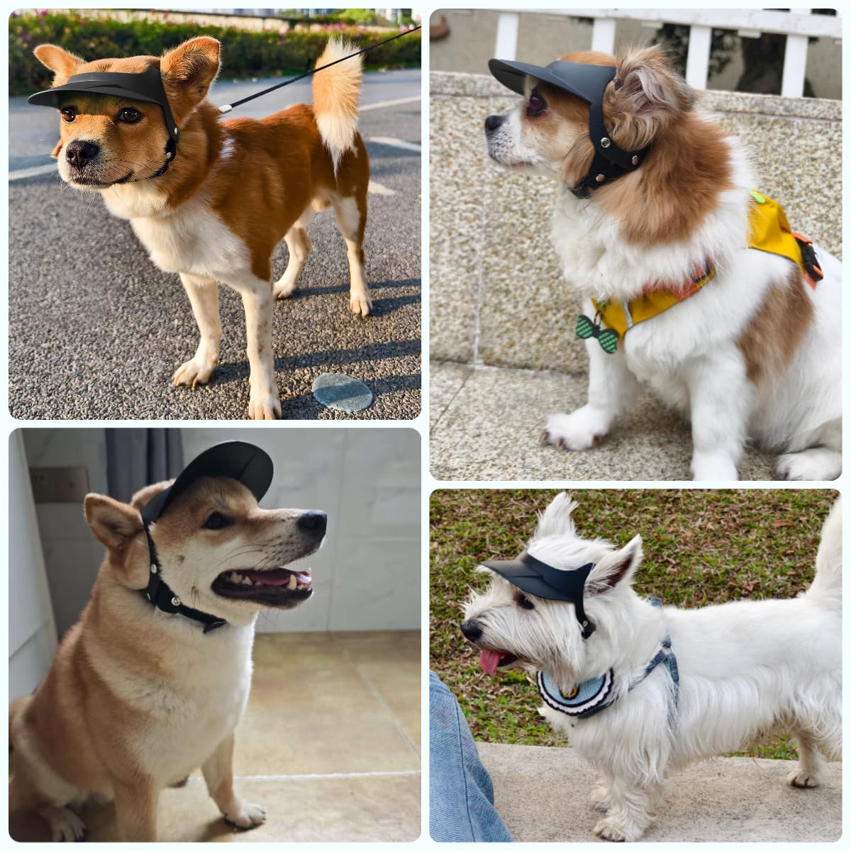 Billionchains Dog Hat For Small Breed Summer Cap With Ear Hole For Beach, Walking, Riding-Black