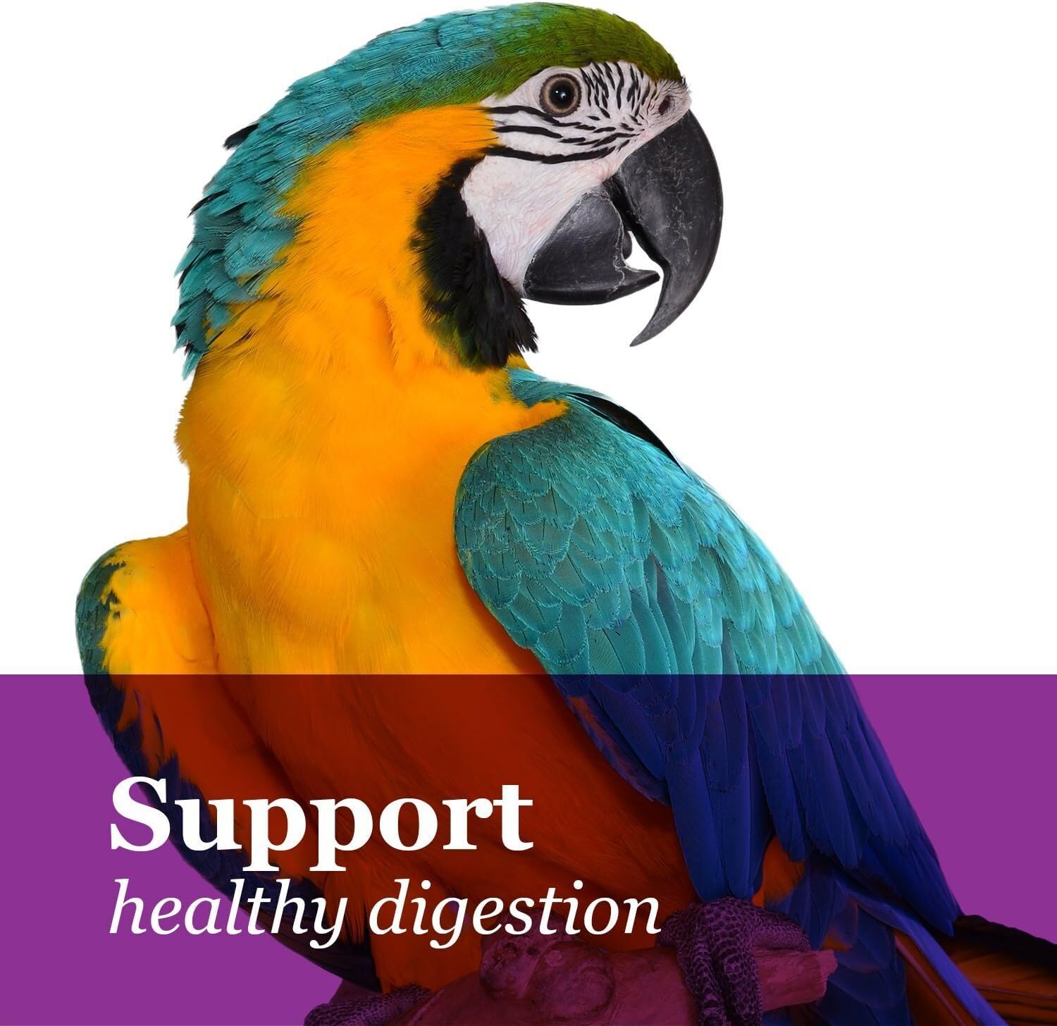 Tropical Carnival Gourmet Macaw Food Big Bites - Seeds, Veggies, Fruits & Nuts with Probiotics - 14 lb