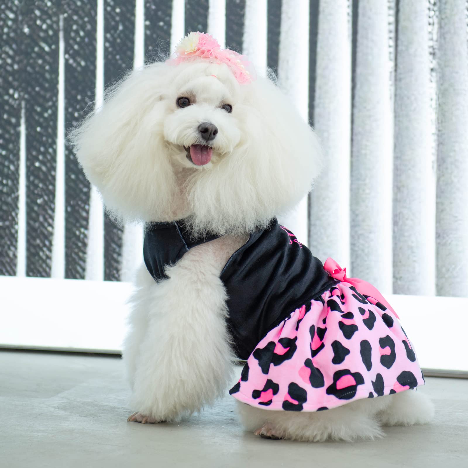Cutebone Little Miss Sassy Pants Dog Leopard Print Dress Velvet For Small Dogs Girl Puppy Dresses Pink Dog Clothes Cva15S-D