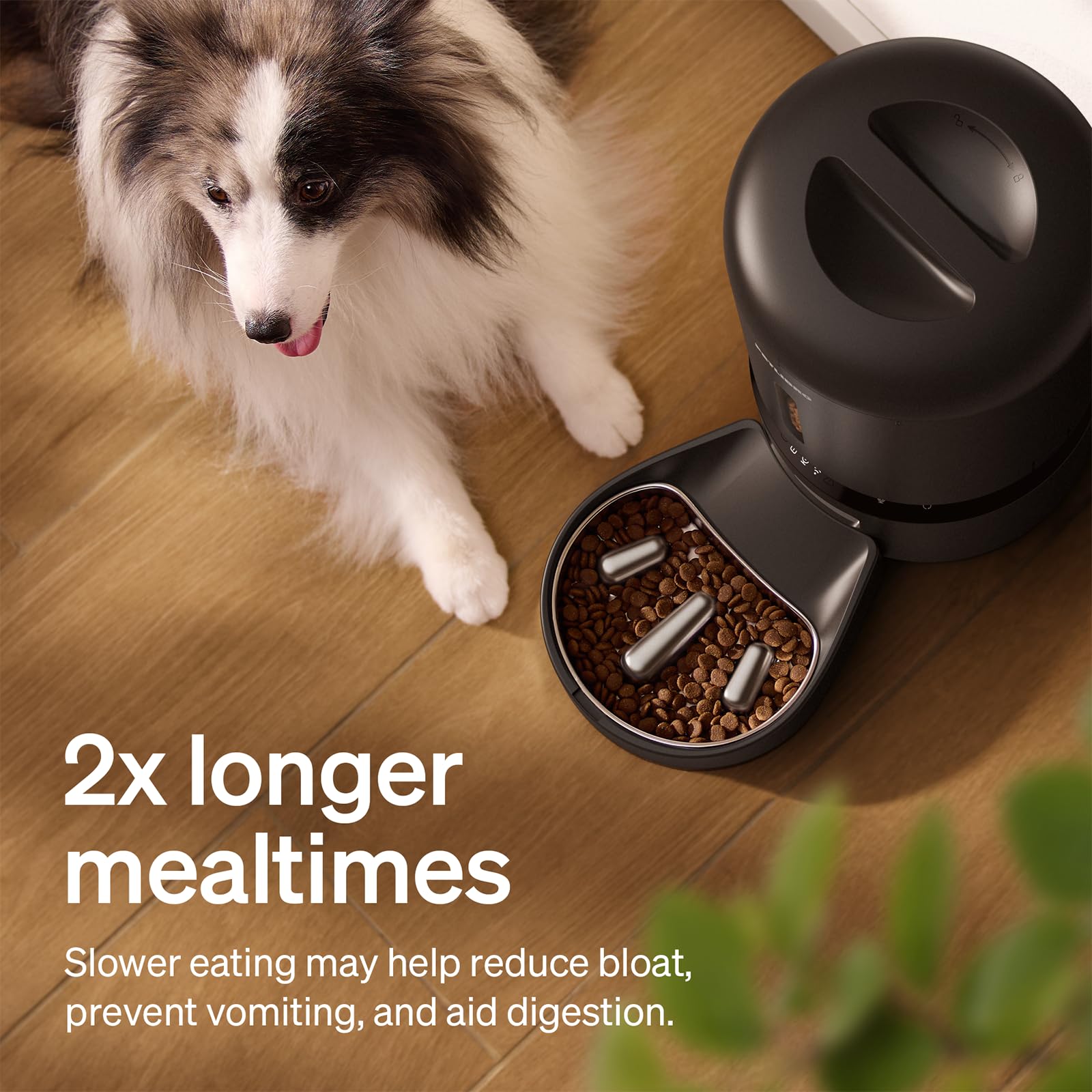PETLIBRO Automatic Dog Feeder with Camera, 5L Stainless Steel Slow Bowl, 1080P HD Video, 2-Way Audio, Black, Model PLAF203-SB