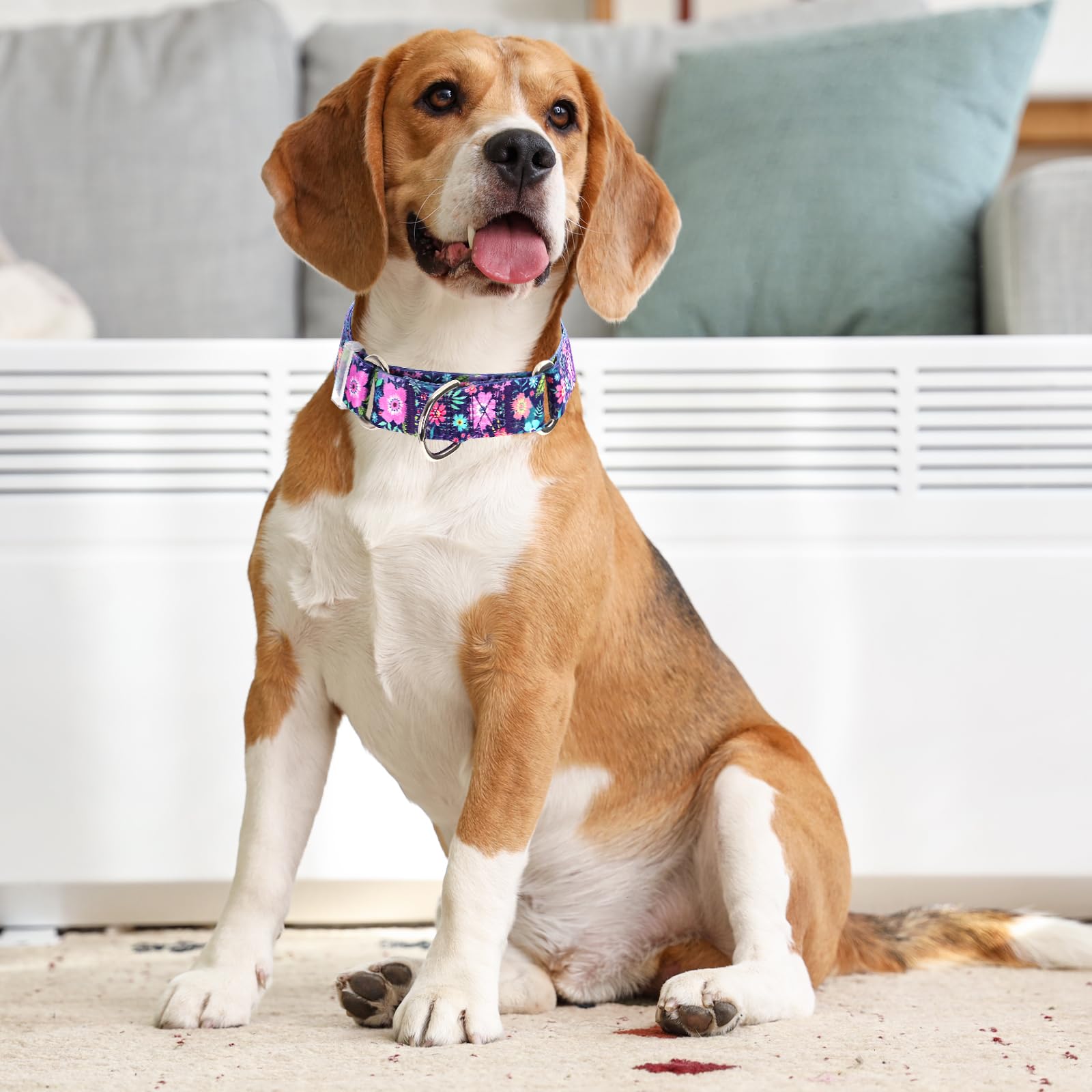 Martingale Collar For Dogs, Adjustable Soft Nylon Dog Collars With Special Design Flower Patterns For Small Medium Large Dog(M)