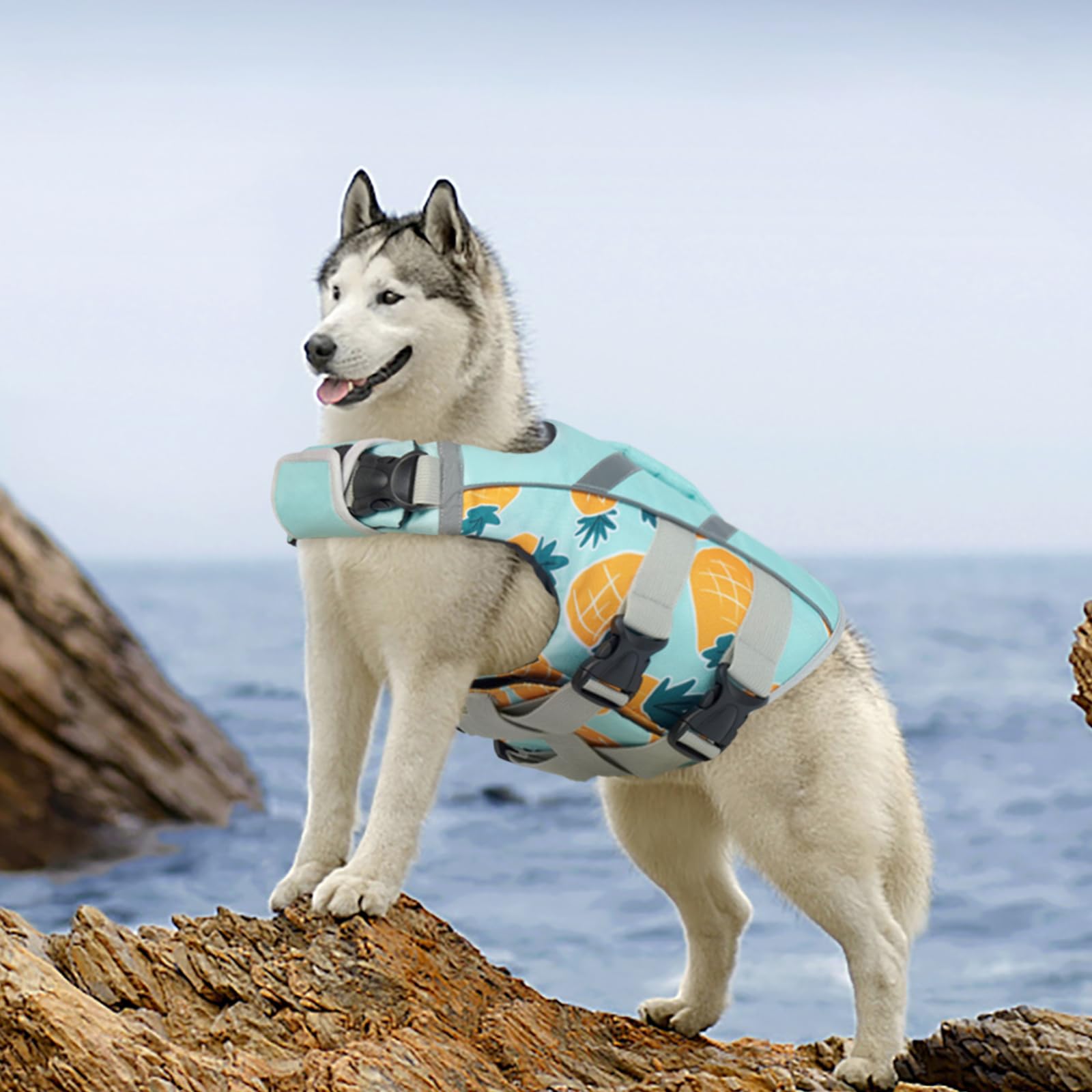 Kuoser Pineapple Small Dog Life Jacket, High Flotation, Reflective, Adjustable, Nylon, Xs, S (Chest Girth: 16.9-21.3')