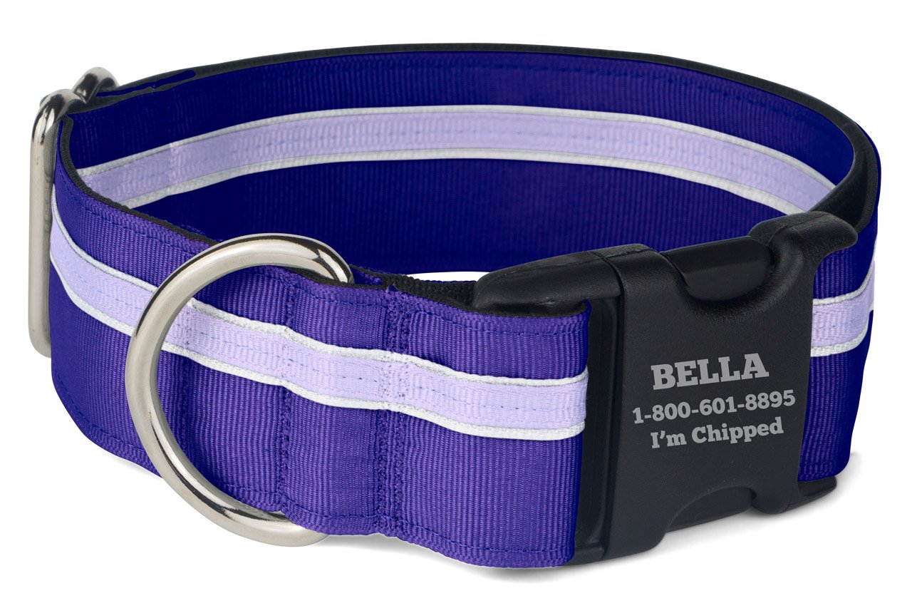 If It Barks Personalized 1.5 Striped Dog Collar - Engraved Name - Custom Size, Grape Crush