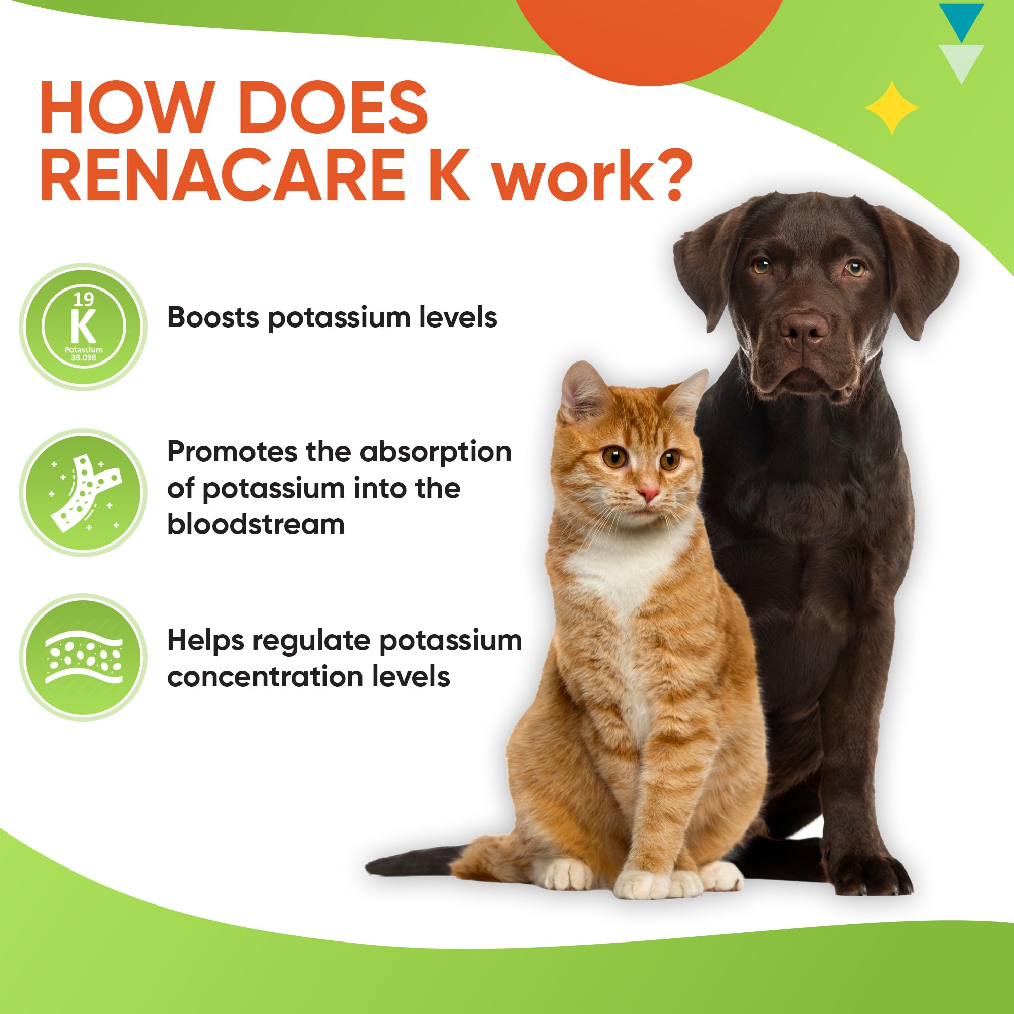 RenaCare K Potassium Gluconate Powder Supplement for Dogs & Cats, 4 oz, Chicken Liver Flavor