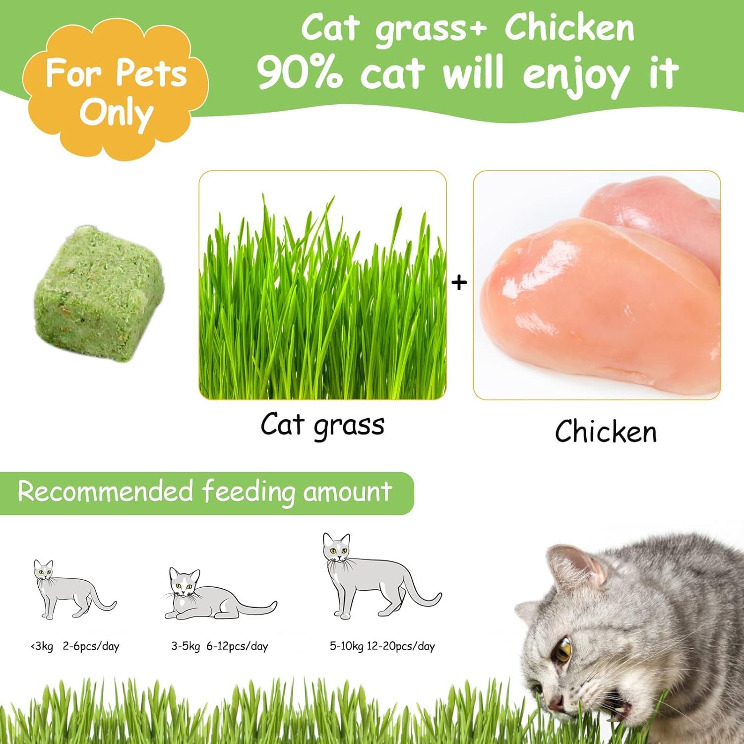 HavenJanny 120g Freezed Drying Cat Grass Treats for Cats, Cat Grass Teething Stick Snacks for Cats Hairball Removal and Teeth Cl