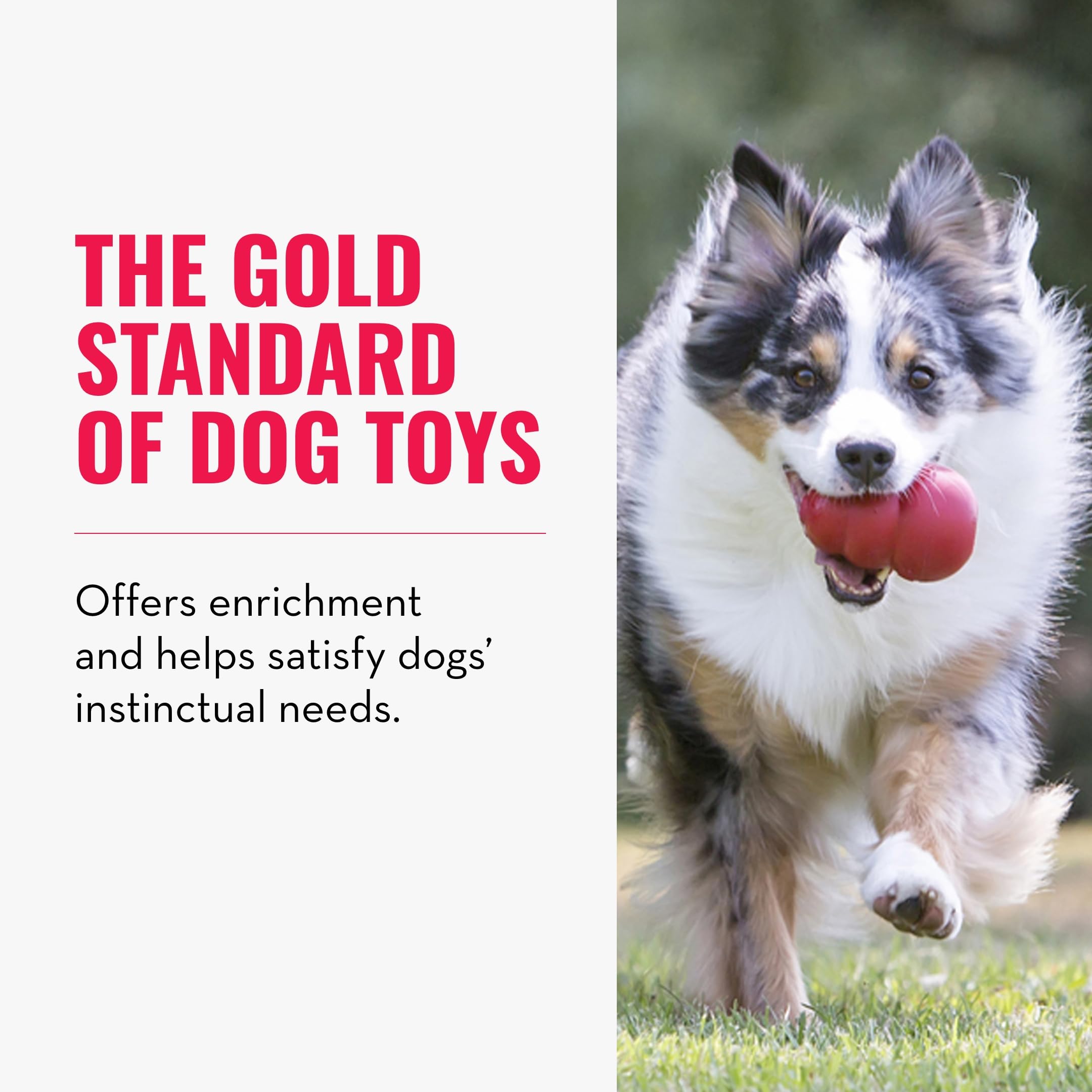 Kong Classic Stuffable Dog Toy - Fetch & Chew Toy For Dogs - Treat-Filling Capabilities & Erratic Bounce For Extended Play Time - Durable Natural Rubber Material - For Large Dogs