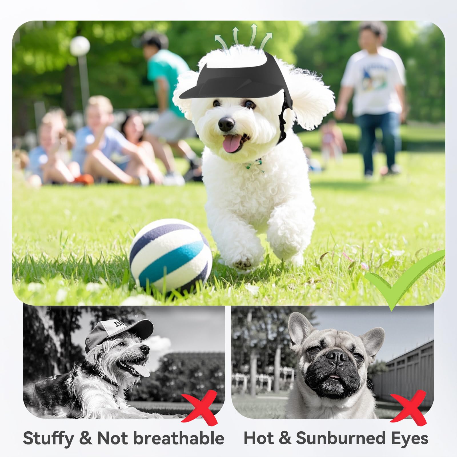 Billionchains Dog Hat For Small Breed Summer Cap With Ear Hole For Beach, Walking, Riding-Black