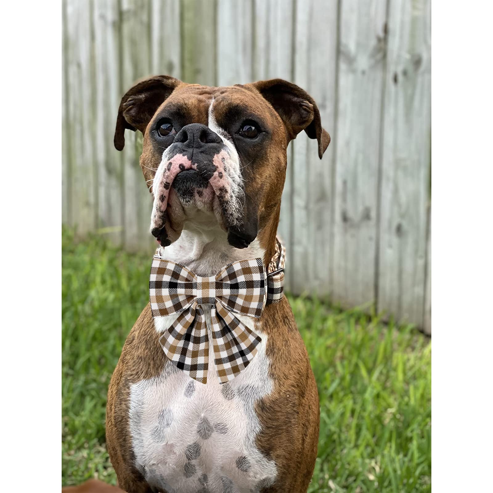 Unique Style Paws Christmas Dog Collar With Bow Tie Brown Plaid Puppy Collar For Small Medium Large Dogs As Autumn Winter Pet Gifts-Xs