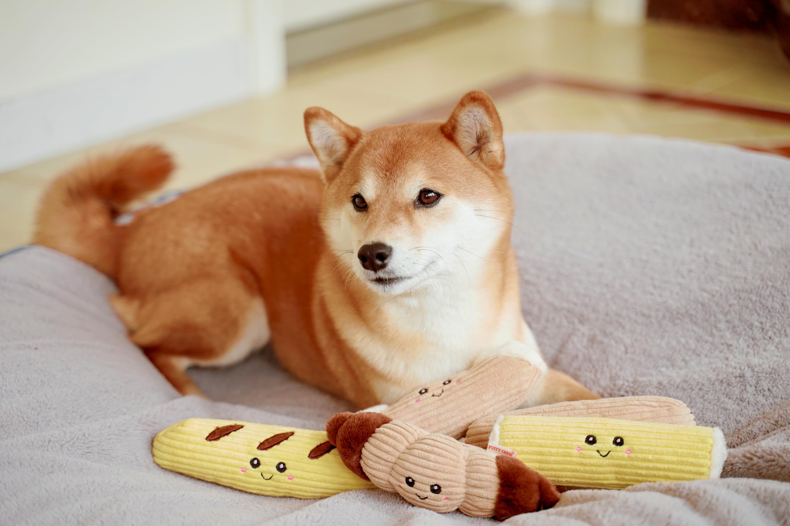 Puffy Crew Squeaky Dog Plush Toy, Bakery Bite_Stick Collection, 8'', For Small And Medium Dogs (5 In 1, Small)