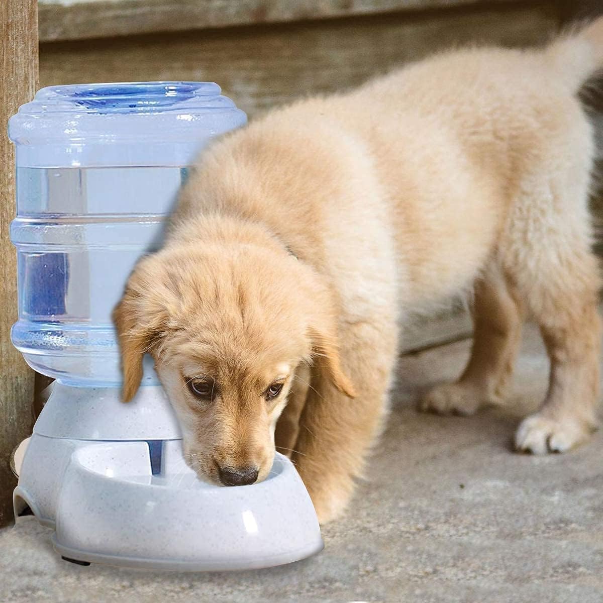 Divik Dog Bowl With NonSlip No Spill Base, Pets Food Bowl With Automatic Water Feeder Automatic Pet Water Food Dispenser