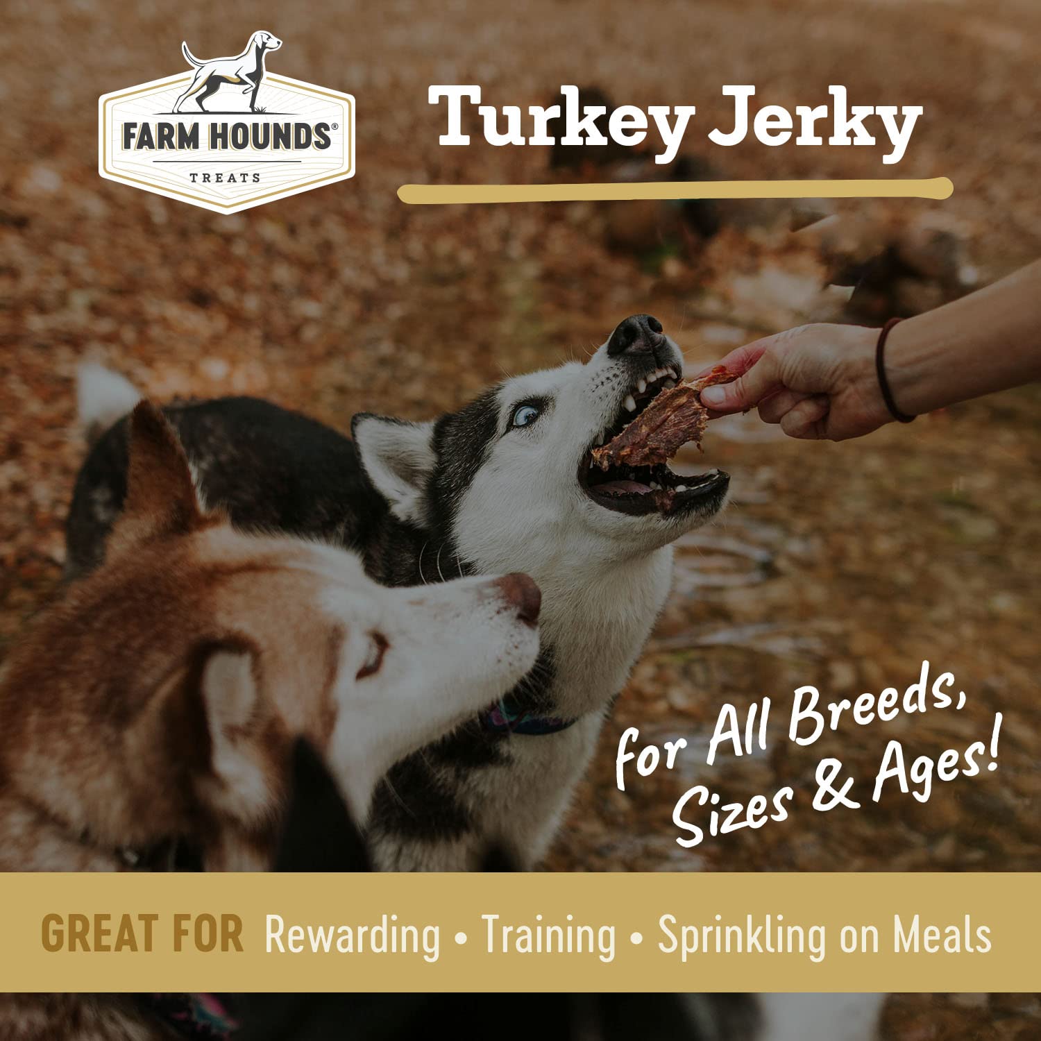 Farm Hounds - Turkey Jerky - Premium Natural Jerky for Dogs - 100% Humanely Raised Turkey - Break-to-Size - Great for Training &