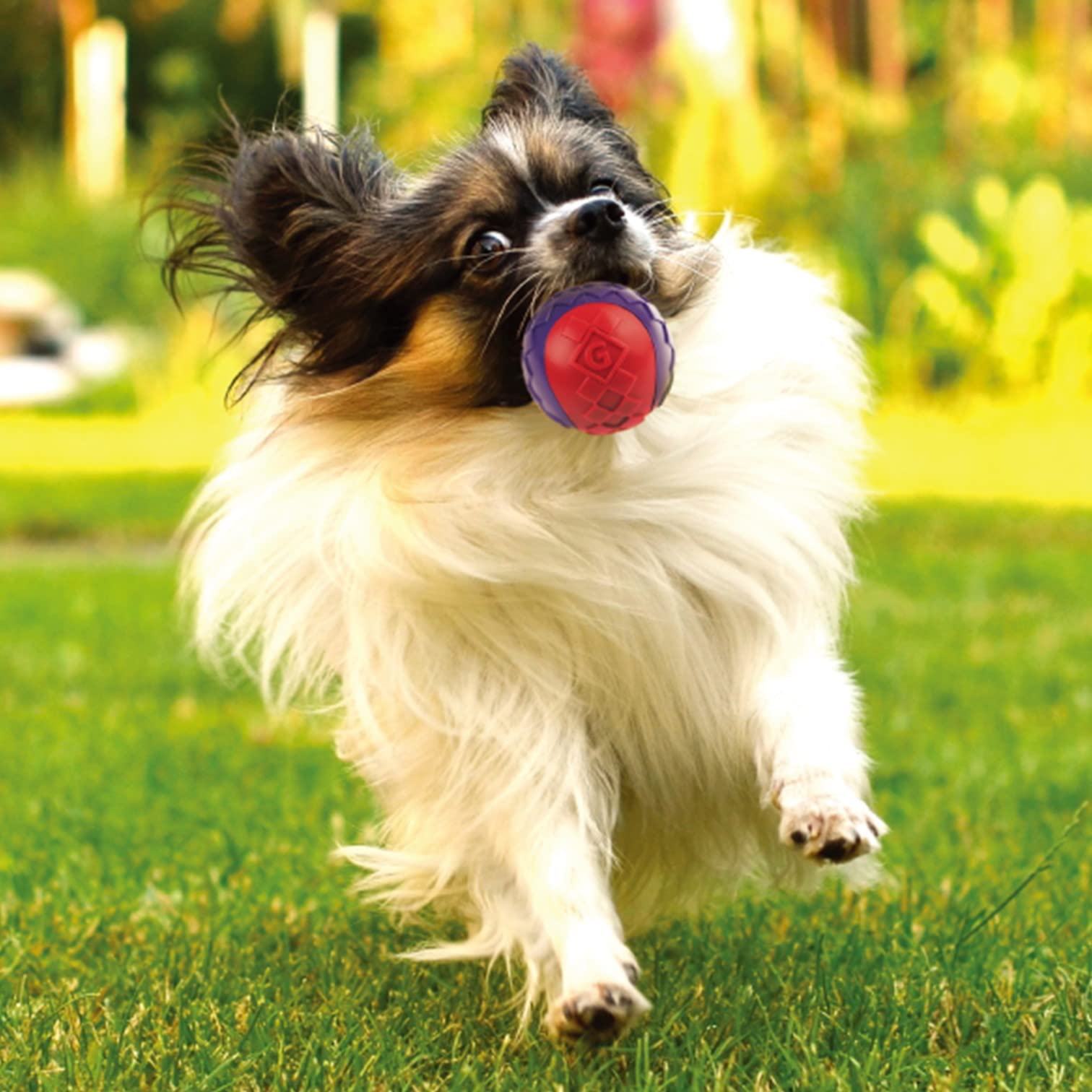 Gigwi Ball, Squeaker, Small, 3 Pk