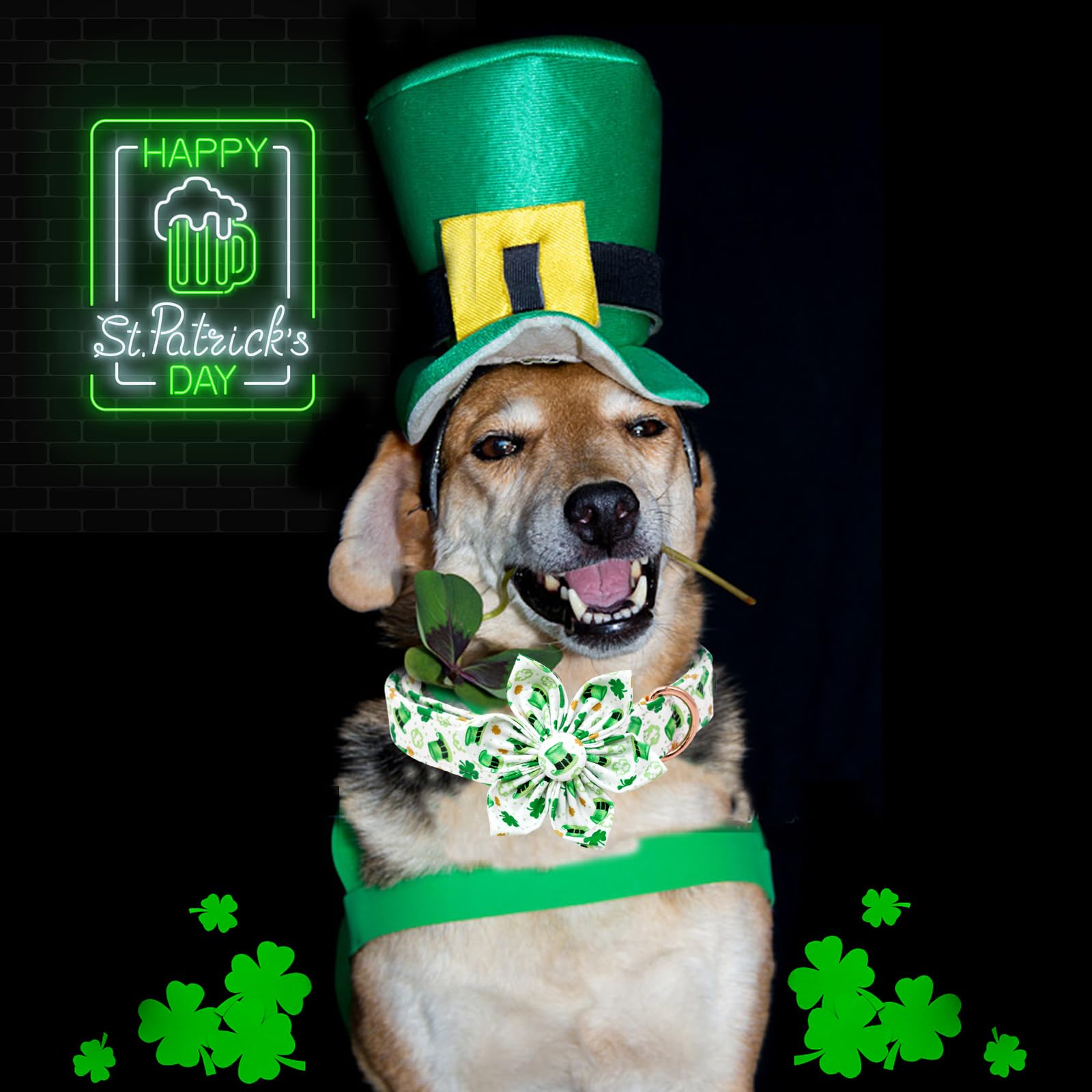 Lionheart Glory St. Patrick'S Day Collar With Flower Bows For X-Small Dogs, Green Lucky Clover Shamrock Collar