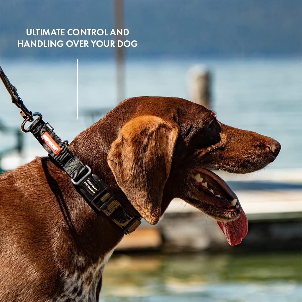 Ezydog Checkmate Martingale-Style Premium Nylon Safety Training And Correction Dog Collar - Quick-Clip Buckle And Reflective Stitching - Easy Control With No Choking Effect (Large, Red)