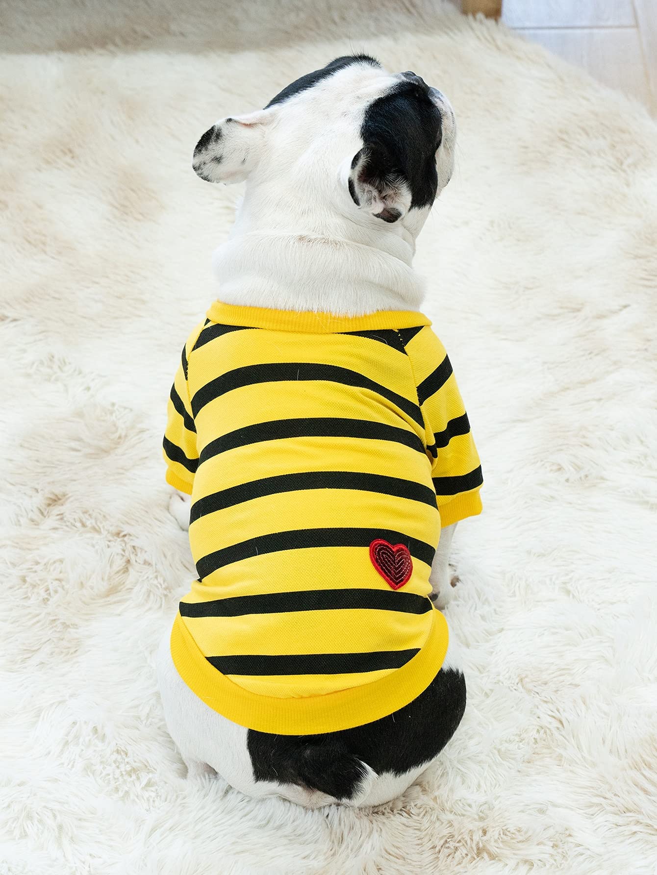 2 Pack French Bulldog Striped T Clothes T-Shirt For Medium Dogs Tee Shirts For Boston Terrier Pitbull Bichon Spring Summer Puppy