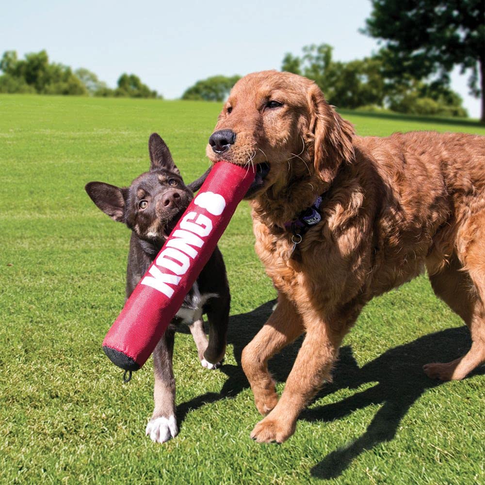 Kong Signature Stick Dog Toy, Medium