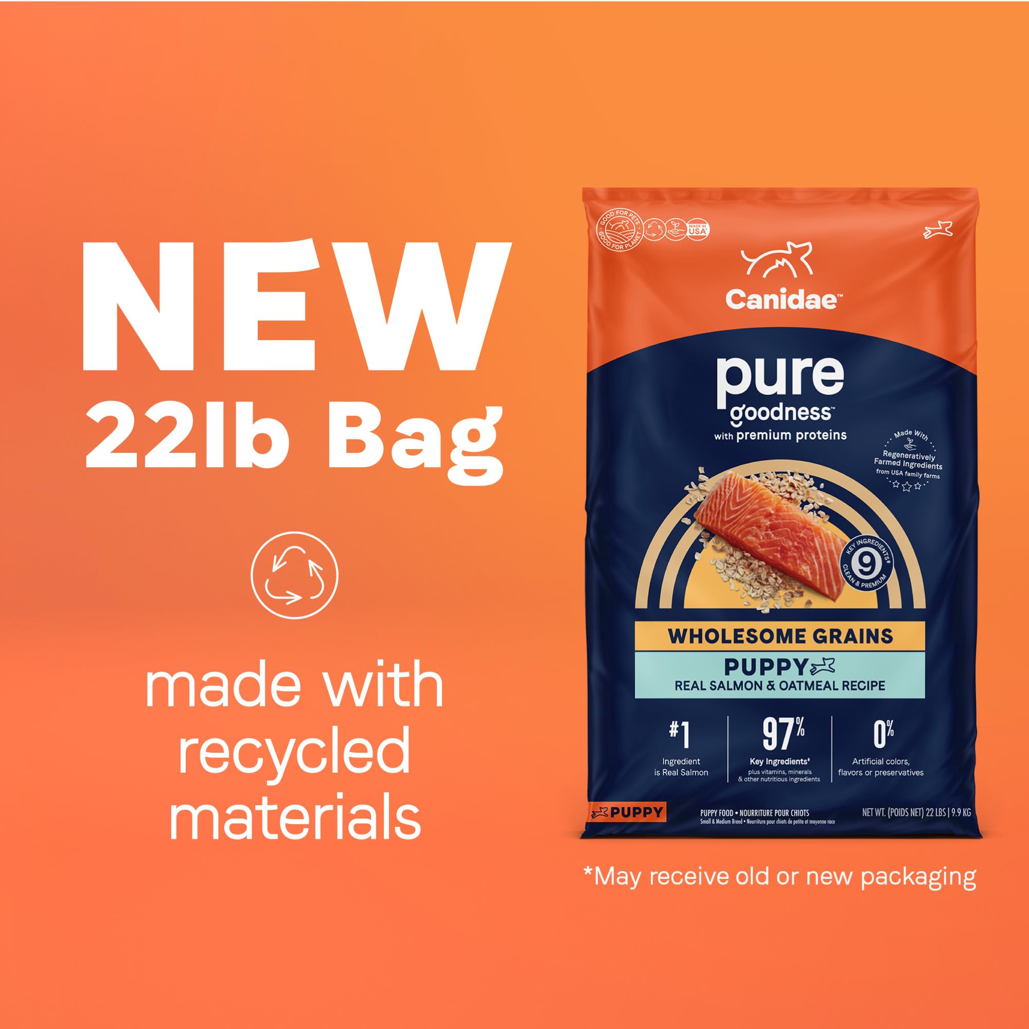 CANIDAE Pure Limited Ingredient Puppy Dry Dog Food, Real Salmon & Oatmeal, 22 lbs, Wholesome Grains