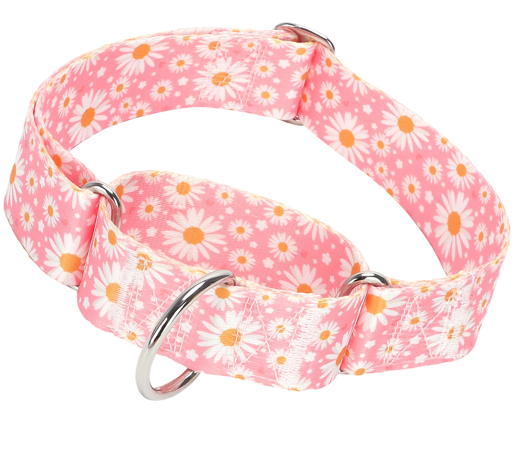 Wide Martingale Collar For Dogs -1.5 Inch Dog Training Collar -Big&Thick Dog Collar - Escape-Proof,Durable And Comfortable - Pin