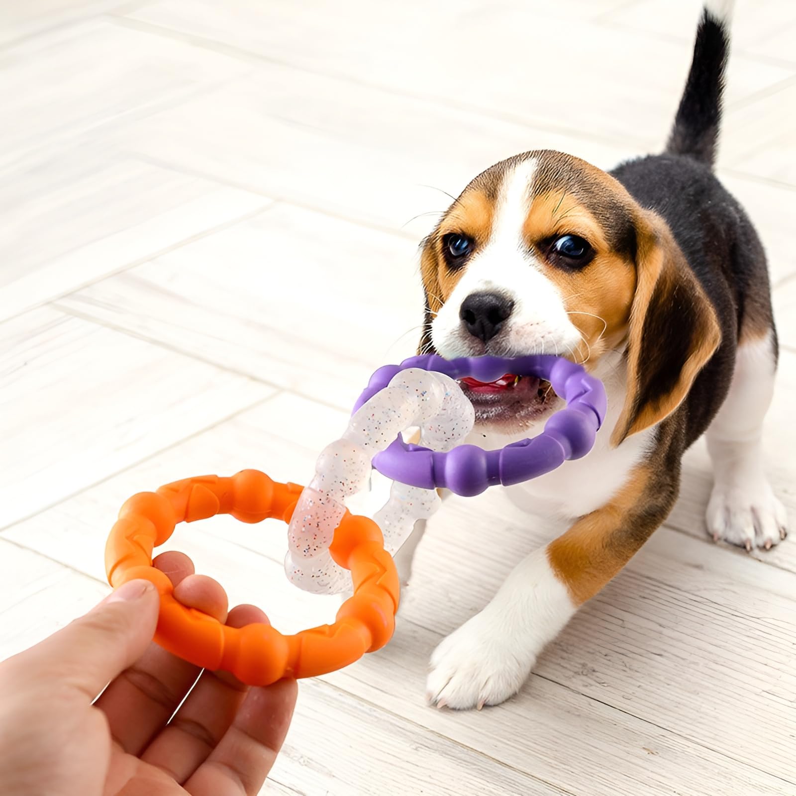 Tuggloop Rings Chew Toy For Puppies And Dogs | 3Pc Tpr Pet Safe Non Toxic Exercise Toy For Pets | Puppy Teething Toy | Rubber Do