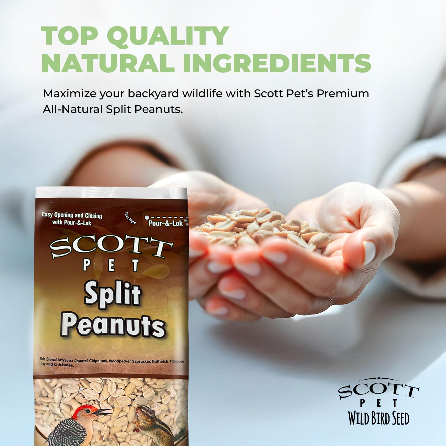 Scott Pet Wild Bird Seed - Split Peanuts, 8 lbs Bag, High Protein & Fiber, Ideal for Wild Birds