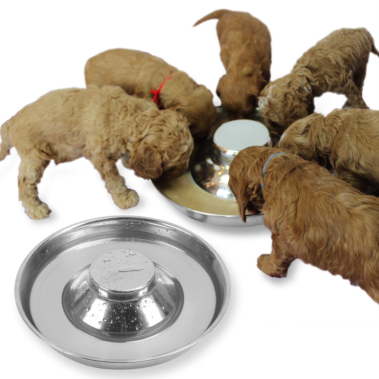Podinor Stainless Steel Puppy Dog Bowls 2 Pack, Pets Puppies Feeding Food and Water Weaning Bowls Dishes Feeder