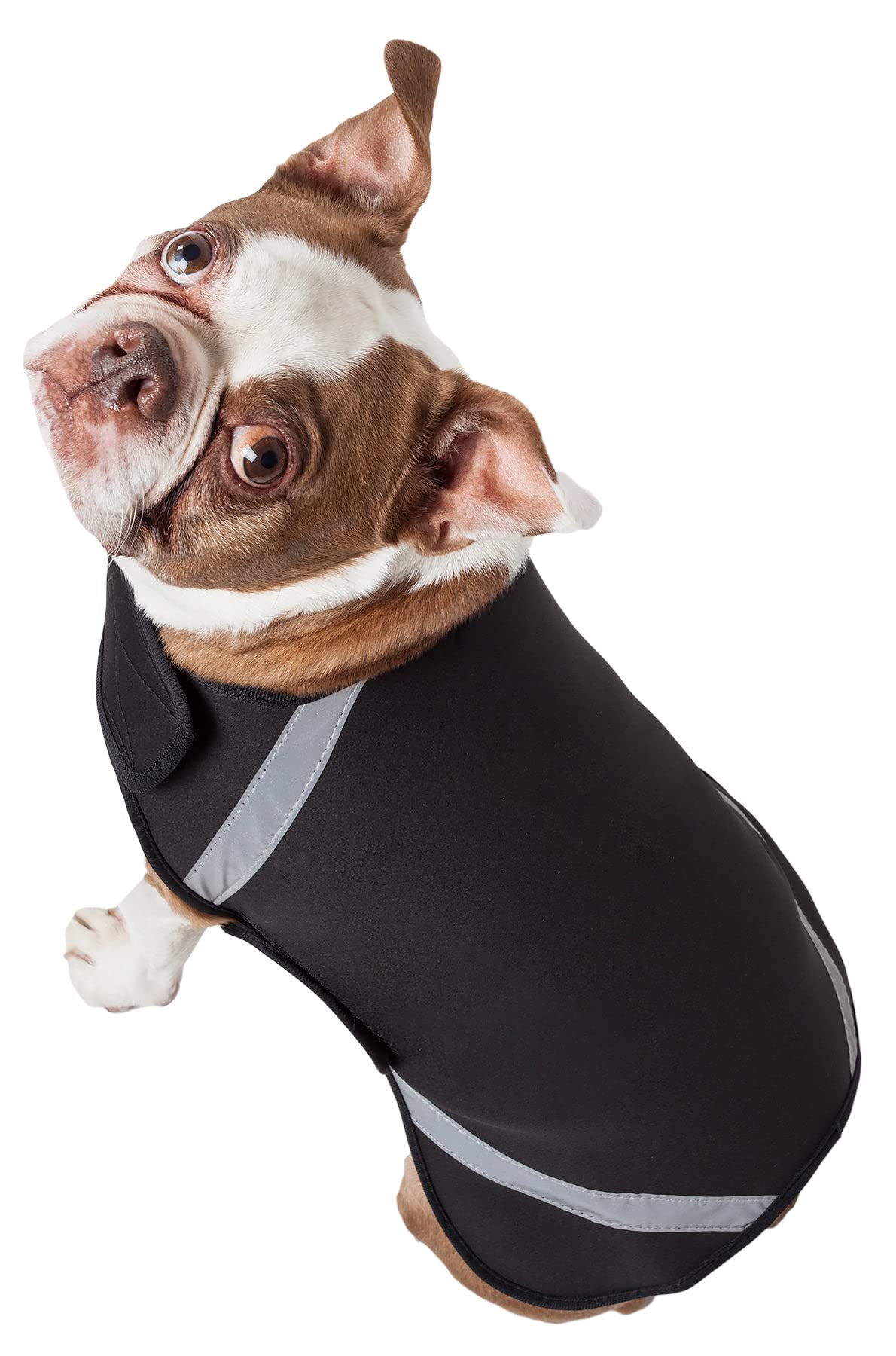 Extreme Neoprene Multi-Purpose Protective Shell Dog Coat(D0102H7LB5Y.)