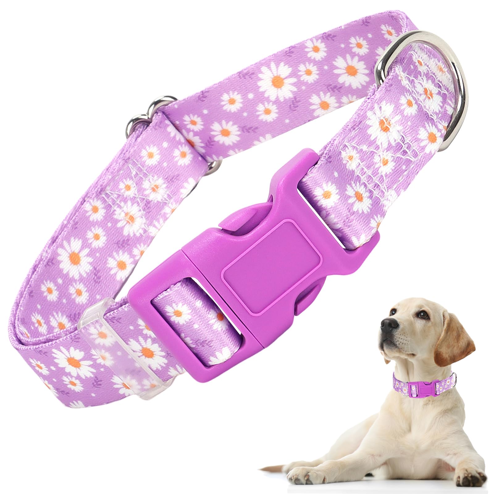 Purple Dog Collars For Medium Dogs, Cute Girl Dog Collar With Daisy Flowers Pattern, Adjustable Heavy Duty Pet Collar With Safet