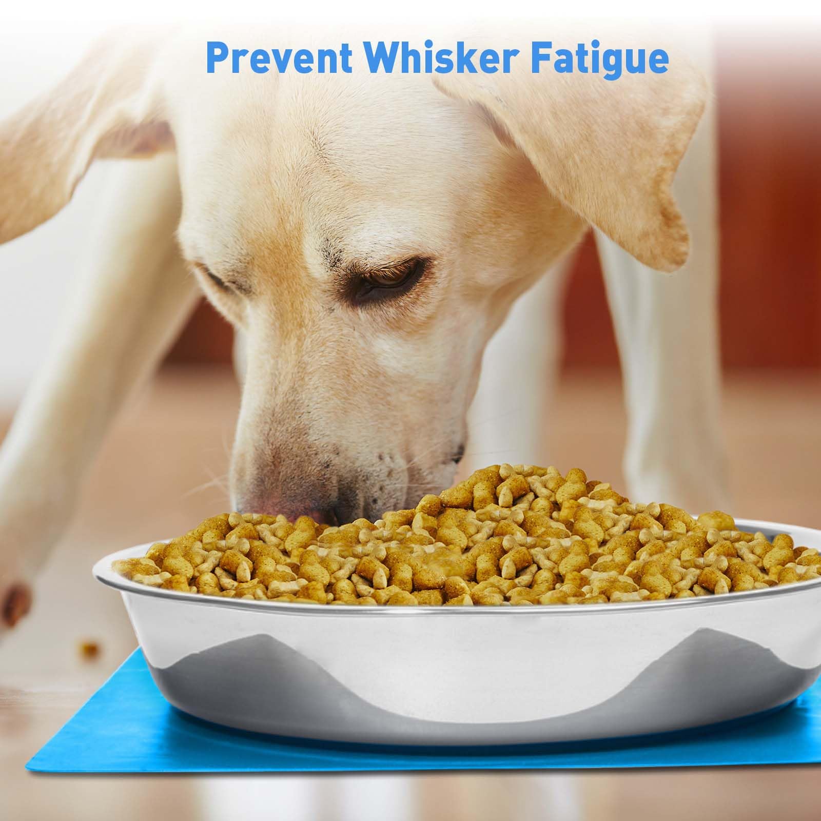 Shallow Dog Food Bowls, Non Slip Food Grade Stainless Steel Bowls for Large Dogs - 8 Cups / 2 Quart (2 Pcs)