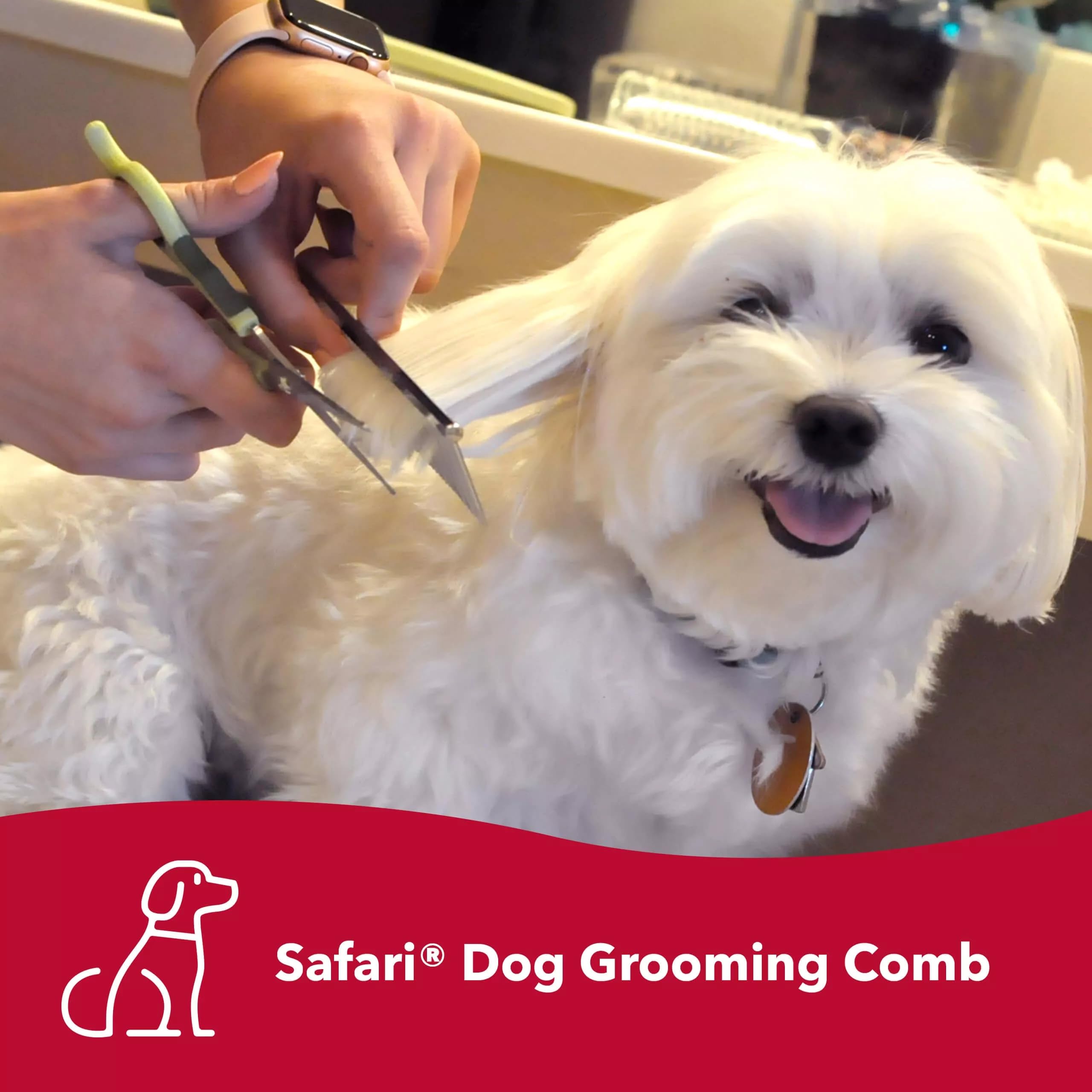 Coastal Pet Safari Dog Grooming Combs For Medium And Fine Coats - Undercoat Rake For Fine Coats - For Small, Medium Or Large Dogs - 4 1/2'