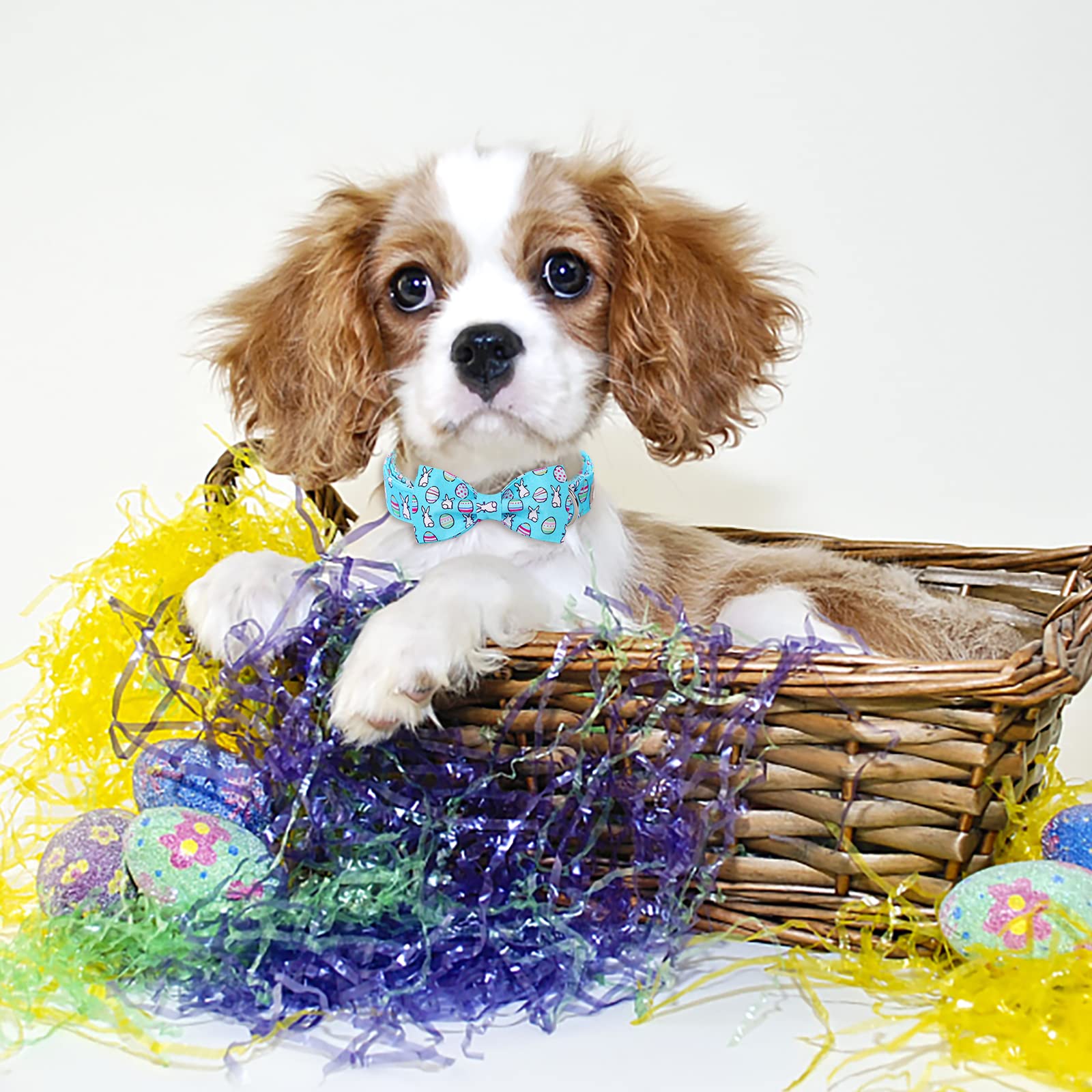 2023 New Dog Collar Easter Gift With Bow Tie-Babole Pet, Rabbit Egg Male Dog Collar With Safety Metal Buckle Adjustable Puppy Collars For Small Medium Large Boy & Girl Dog,Xs-Neck 8'-12'