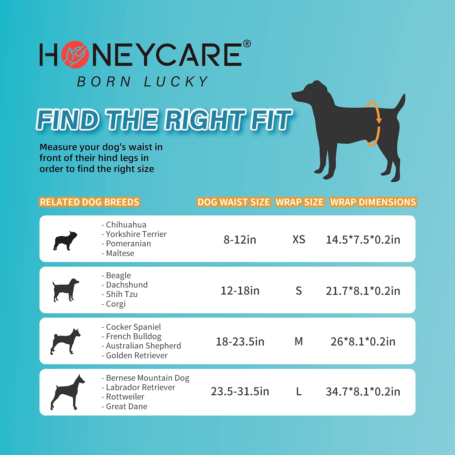 HONEY CARE All Absorb Petrichor Male Dog Wrap, Medium, White, 100 Count