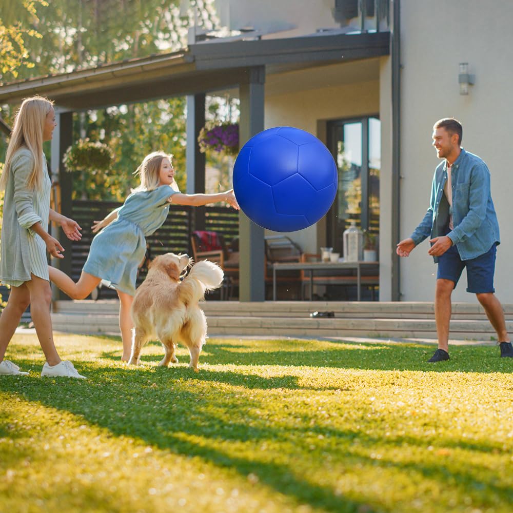 MUCIORELY 20 Herding Ball for Dogs