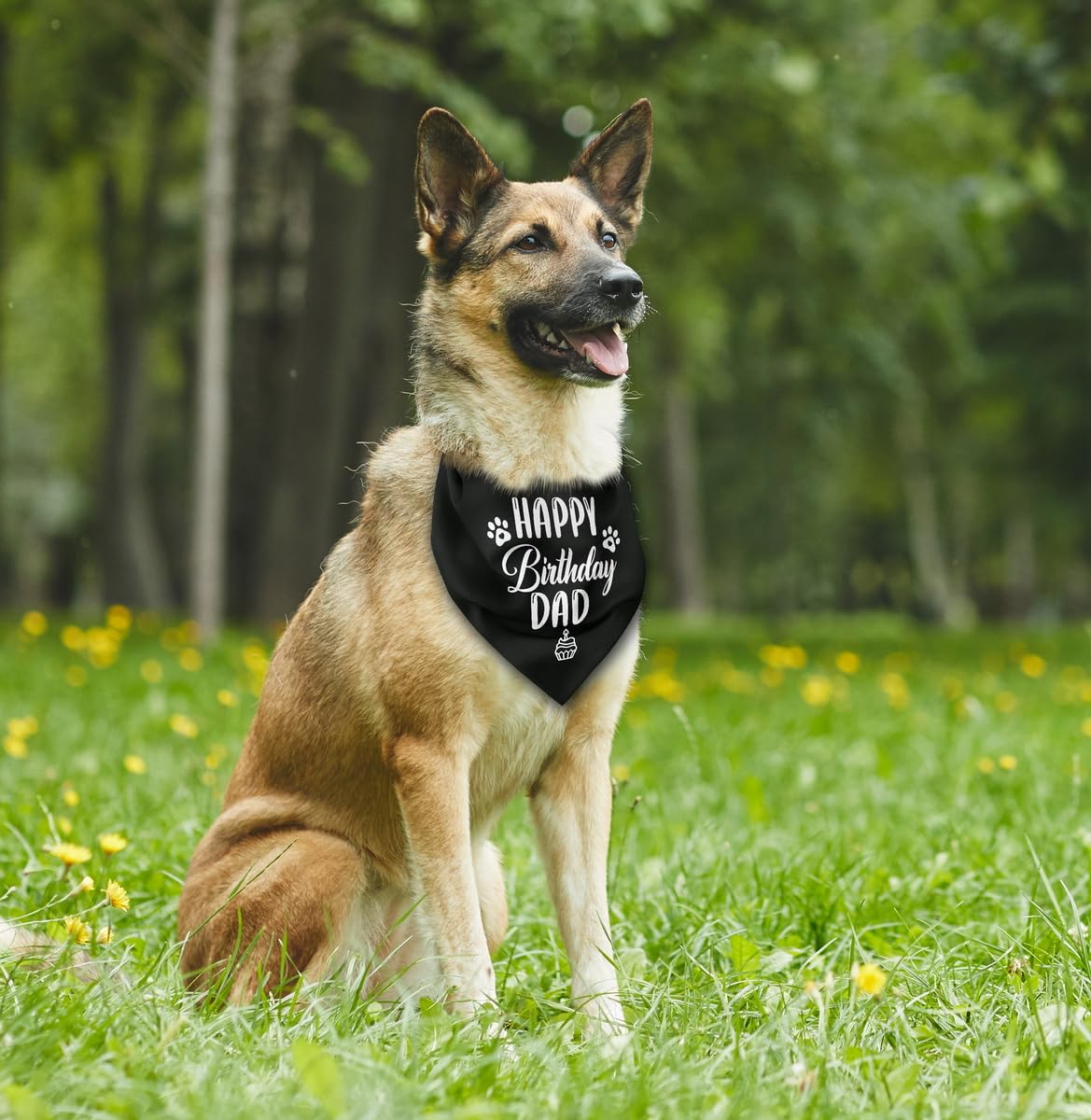 K31 Happy Birthday Dad Dog Bandana - Classical Black Printing, Pet Scarf Accessory Gift For Dad'S Birthday Party
