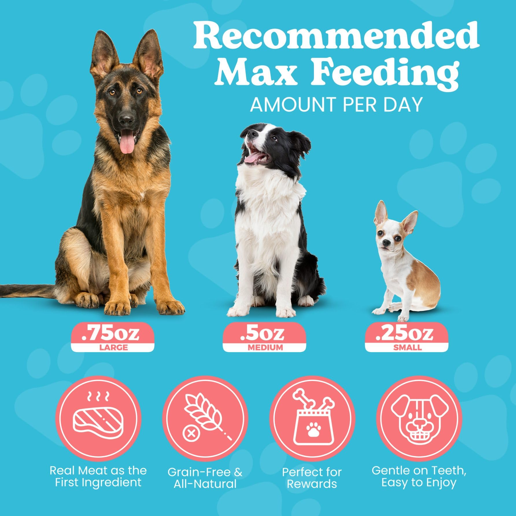 Wild Meadow Farms - Classic Salmon Bites, Soft Jerky Treats for Dogs, Grain-Free & All-Natural, Ideal for Training, Portioning,