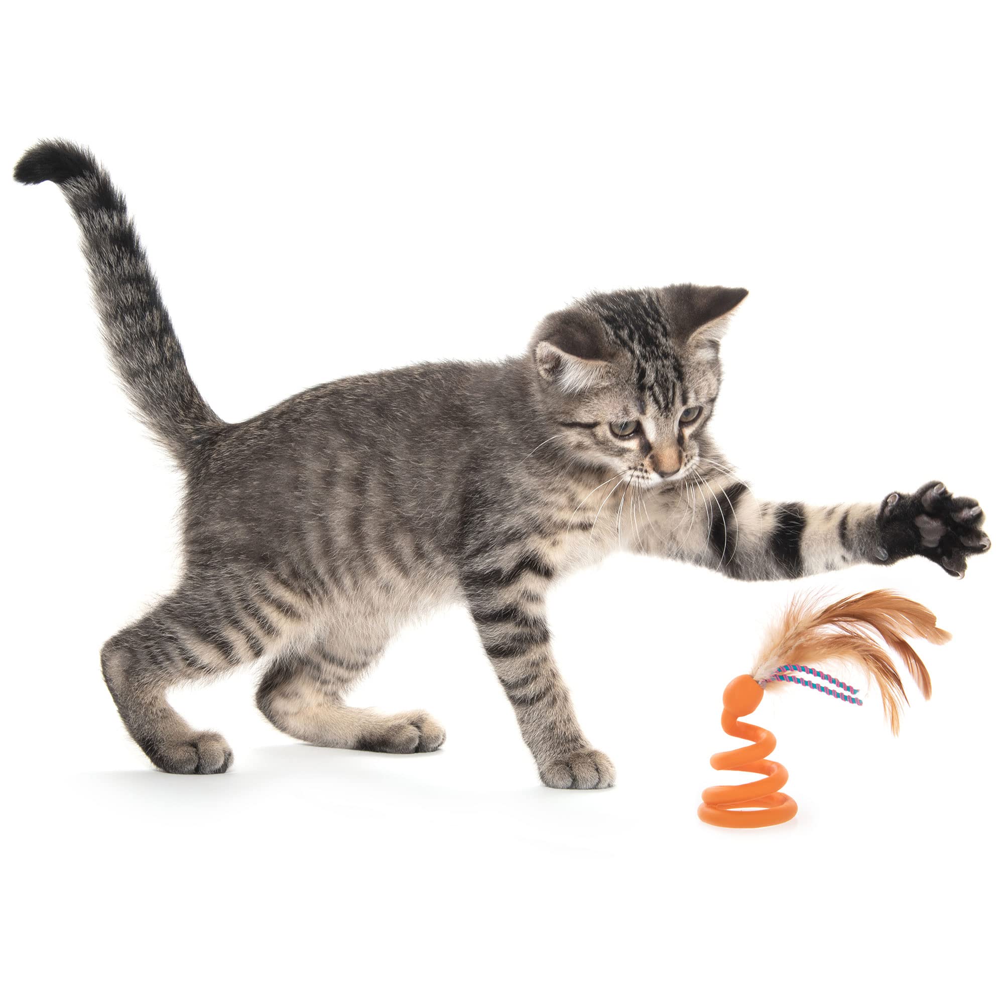 Petlinks Batty Boing Soft Spring & Feather Cat Toy - Orange, One Size