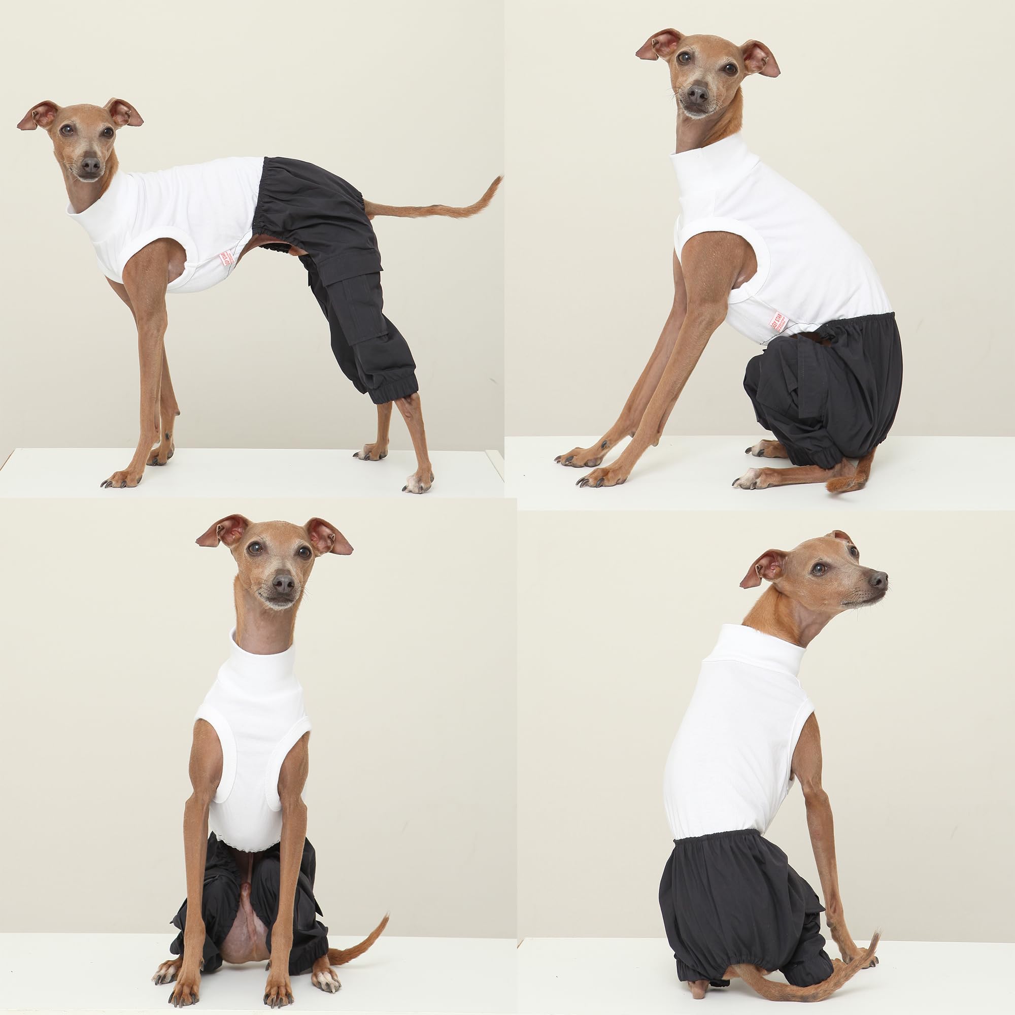 D Doggy Star Italian Greyhound Clothes Cargo Pants Onesie Outfit Whippet For Dog Coat (M,Navy Cargo)