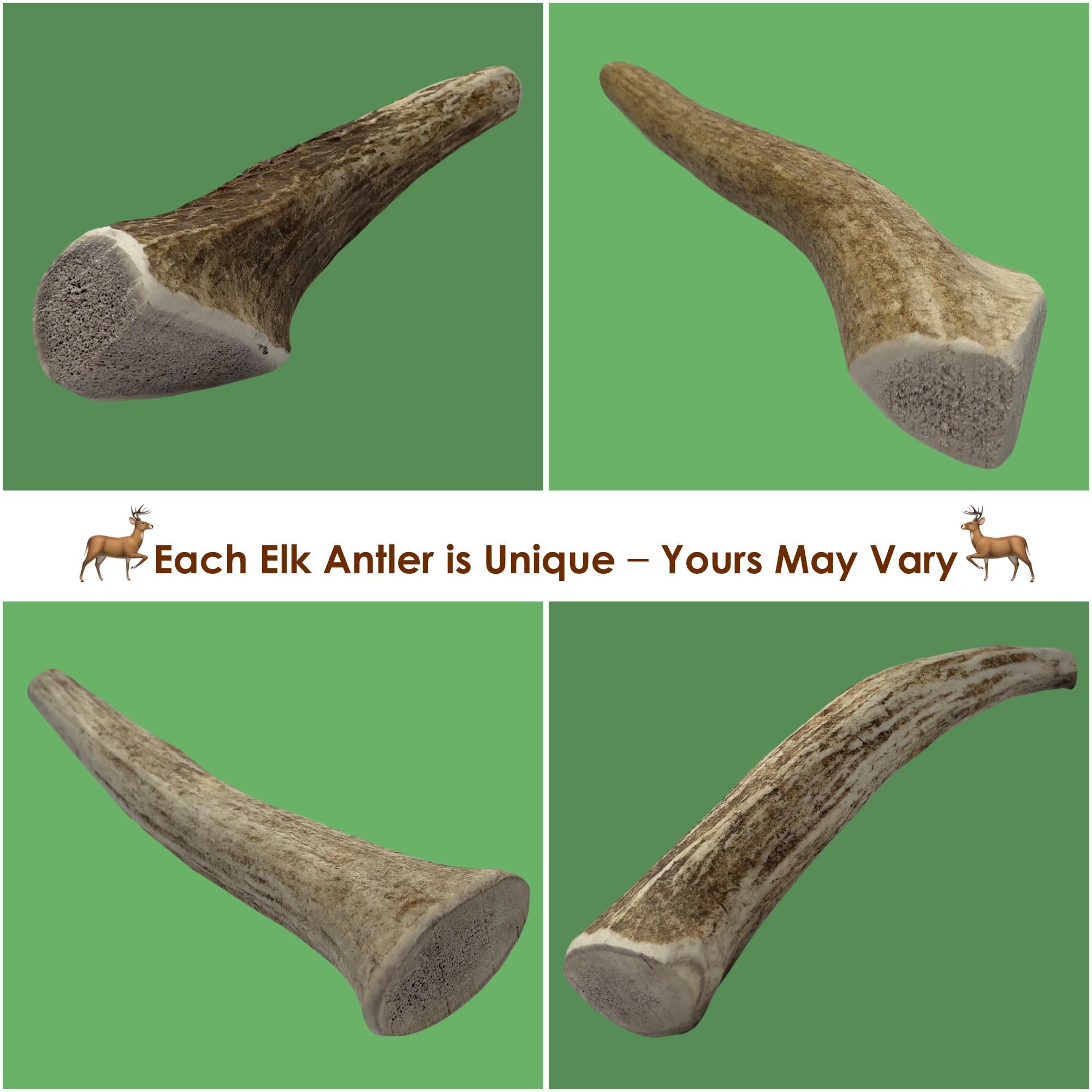 Deluxe Naturals 4-Pack Medium Whole Elk Antler Dog Chews, 5.5 to 8+ Inch Natural Long-Lasting Chew Bones for Small and Medium Do
