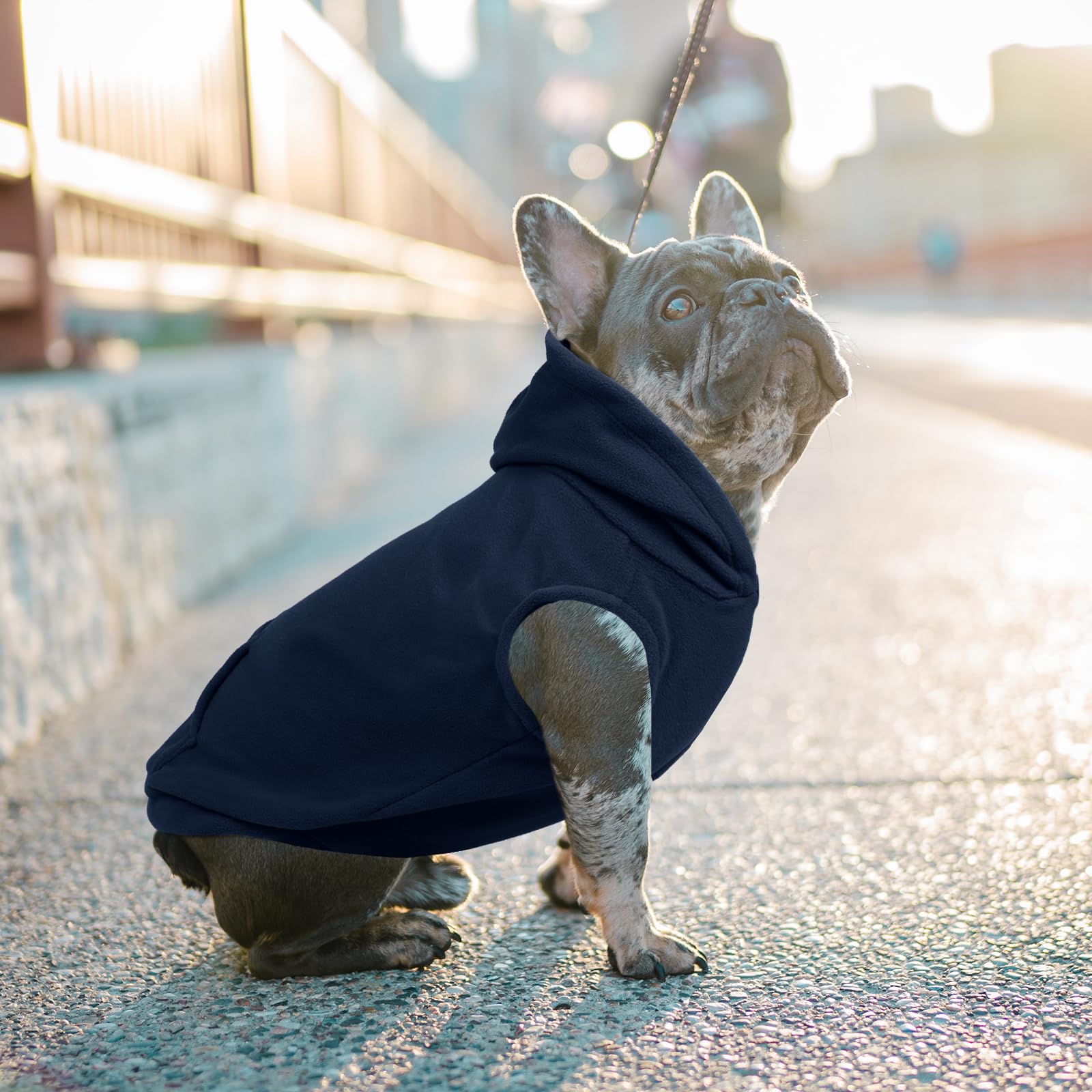 Iecoii Warm Dog Hoodie For Large Dogs,Dog Hoodie Fleece Vest With Leash Hole And Pocket,Cold Weather Hoodie For Dog Girl Boy,Ext