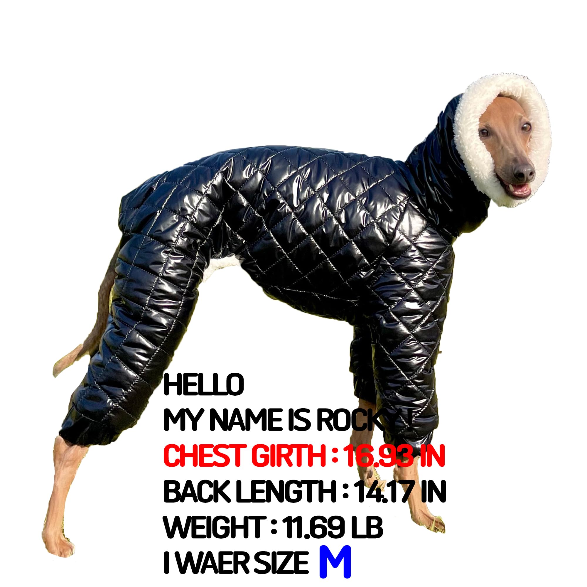 D Doggy Star Italian Greyhound Snowsuit Winter Thick Padded Coat Warm Outfits Jacket Turtleneck Clothes Whippet For Dog (3Xl,Sno