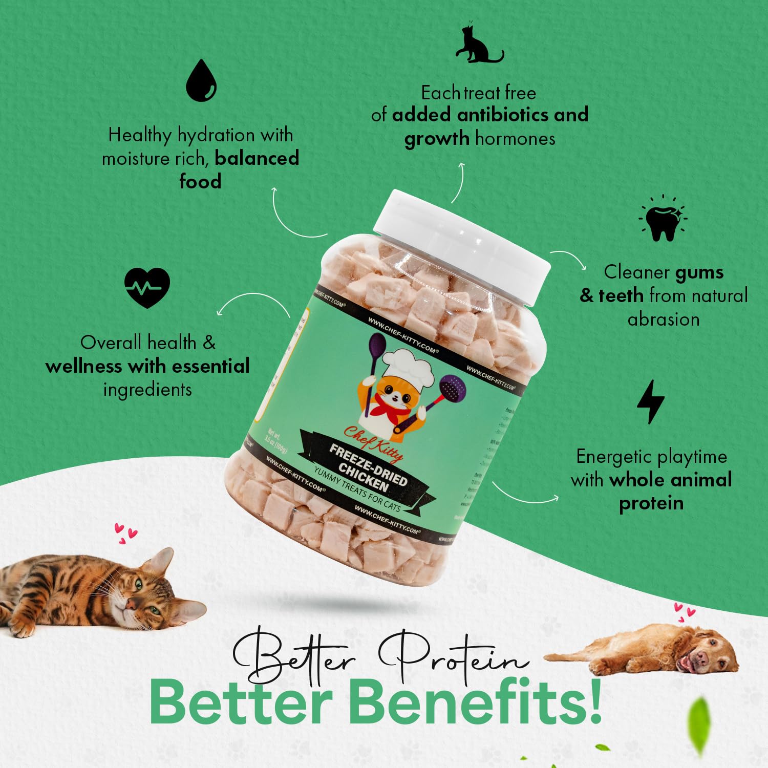 Chef Kitty Freeze-Dried Chicken Treats for Cats & Dogs - 100% Human Grade, Single Ingredient, High-Protein, Healthy Snack - No A