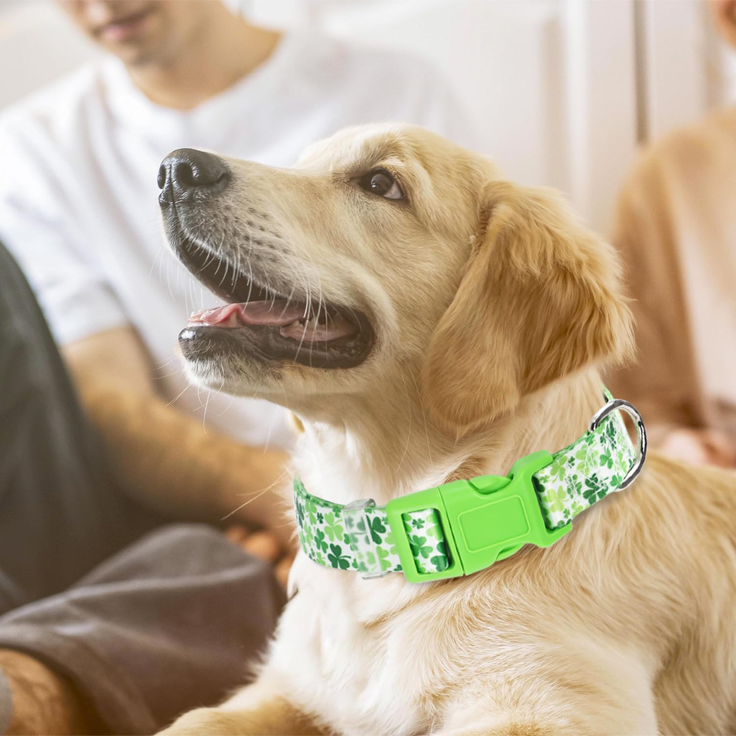 Dog Collar For Large Dogs, Irish Green Shamrock Clovers Dog Collar For Boy & Girl Dogs, Adjustable Heavy Duty Nylon Collar With
