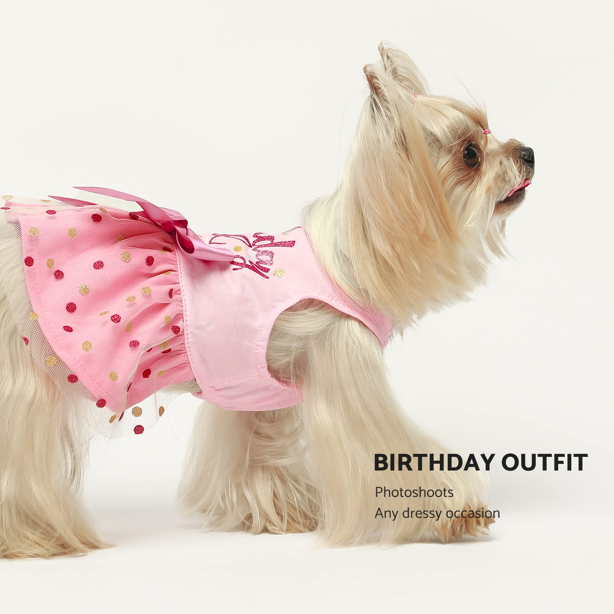 Fitwarm Birthday Girl Dog Tulle Dress, Dog Clothes For Small Dogs Girl, Chihuahua Apparel, Pink, X-Small